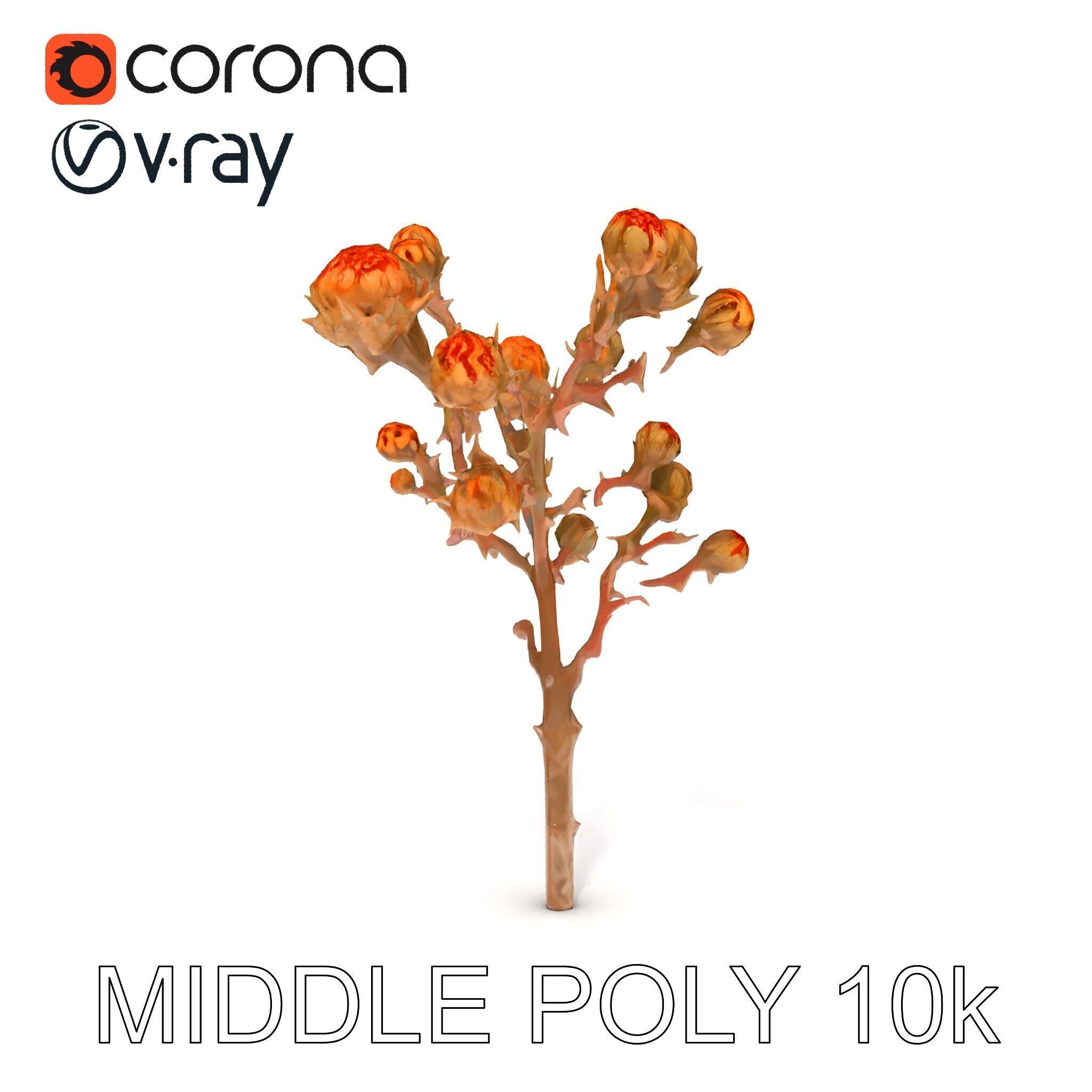Dried Branch with Buds Model Pack Low-poly 3D model_30