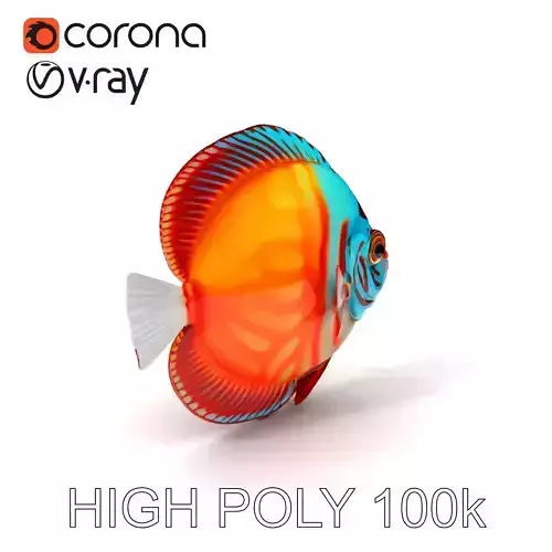 Vibrant Tropical Fish Model Pack for Aquatic Scenes Low-poly 3D model