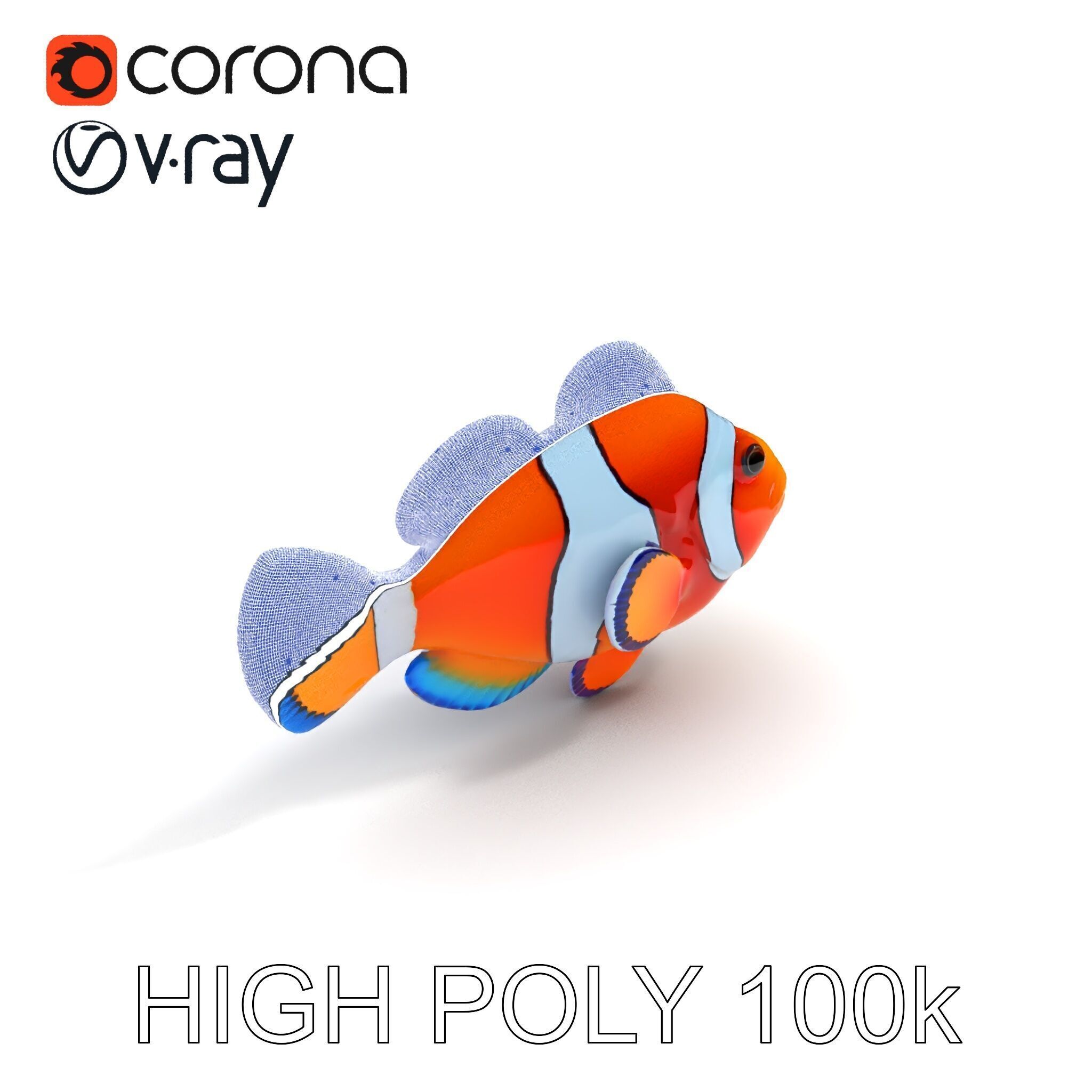 Clownfish Aquarium Model Pack Low-poly 3D model_31