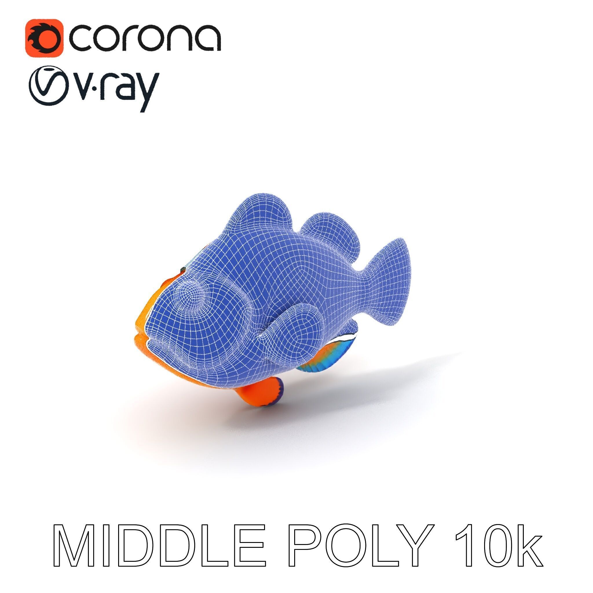 Clownfish Aquarium Model Pack Low-poly 3D model_6