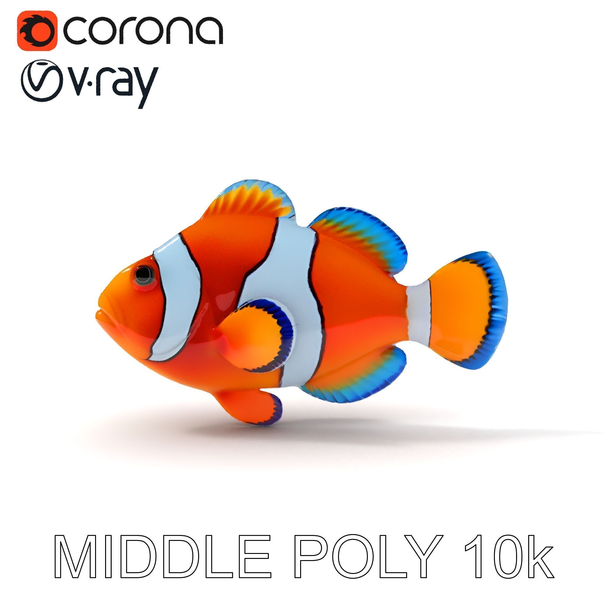 Clownfish Aquarium Model Pack Low-poly 3D model_29