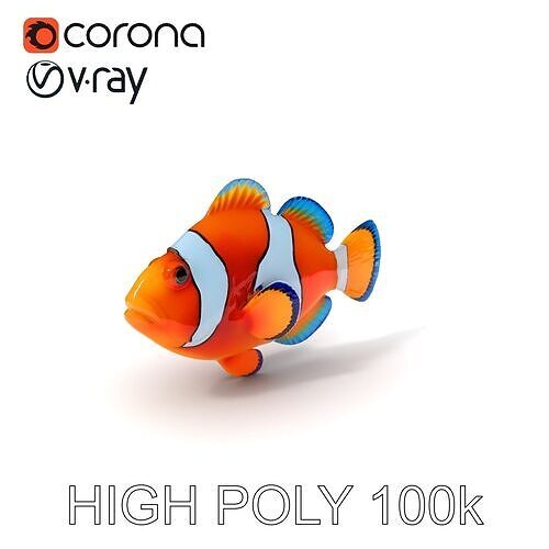 Clownfish Aquarium Model Pack Low-poly 3D model