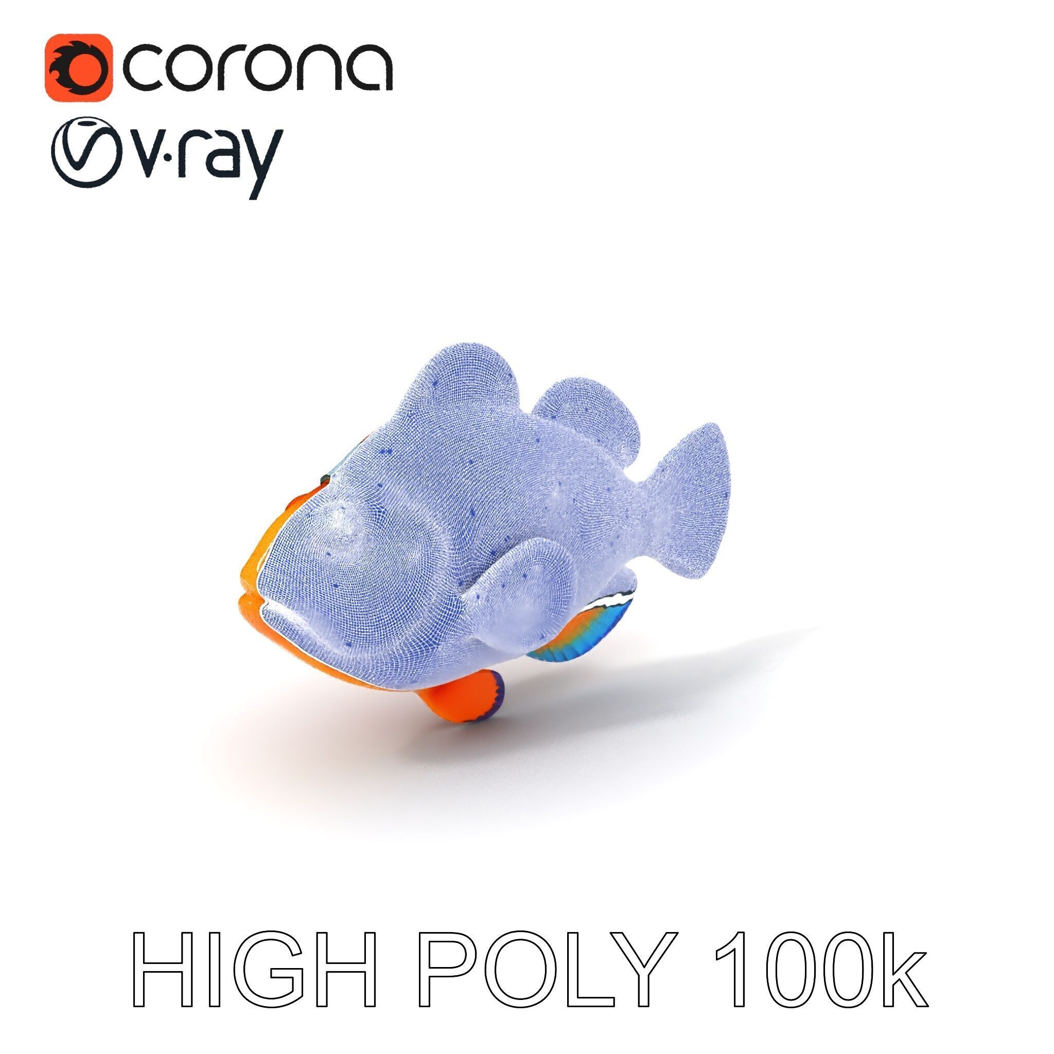 Clownfish Aquarium Model Pack Low-poly 3D model_3