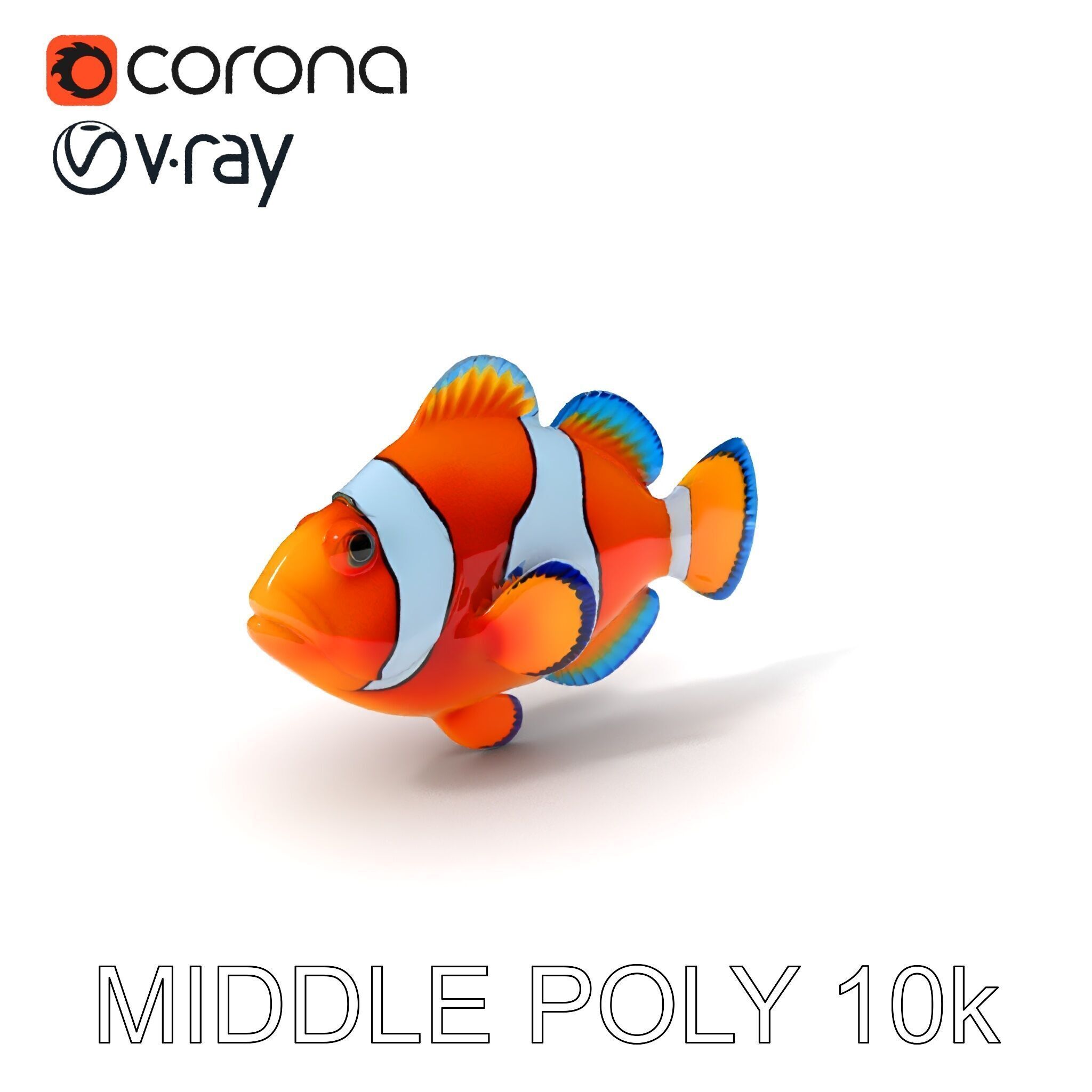 Clownfish Aquarium Model Pack Low-poly 3D model_11