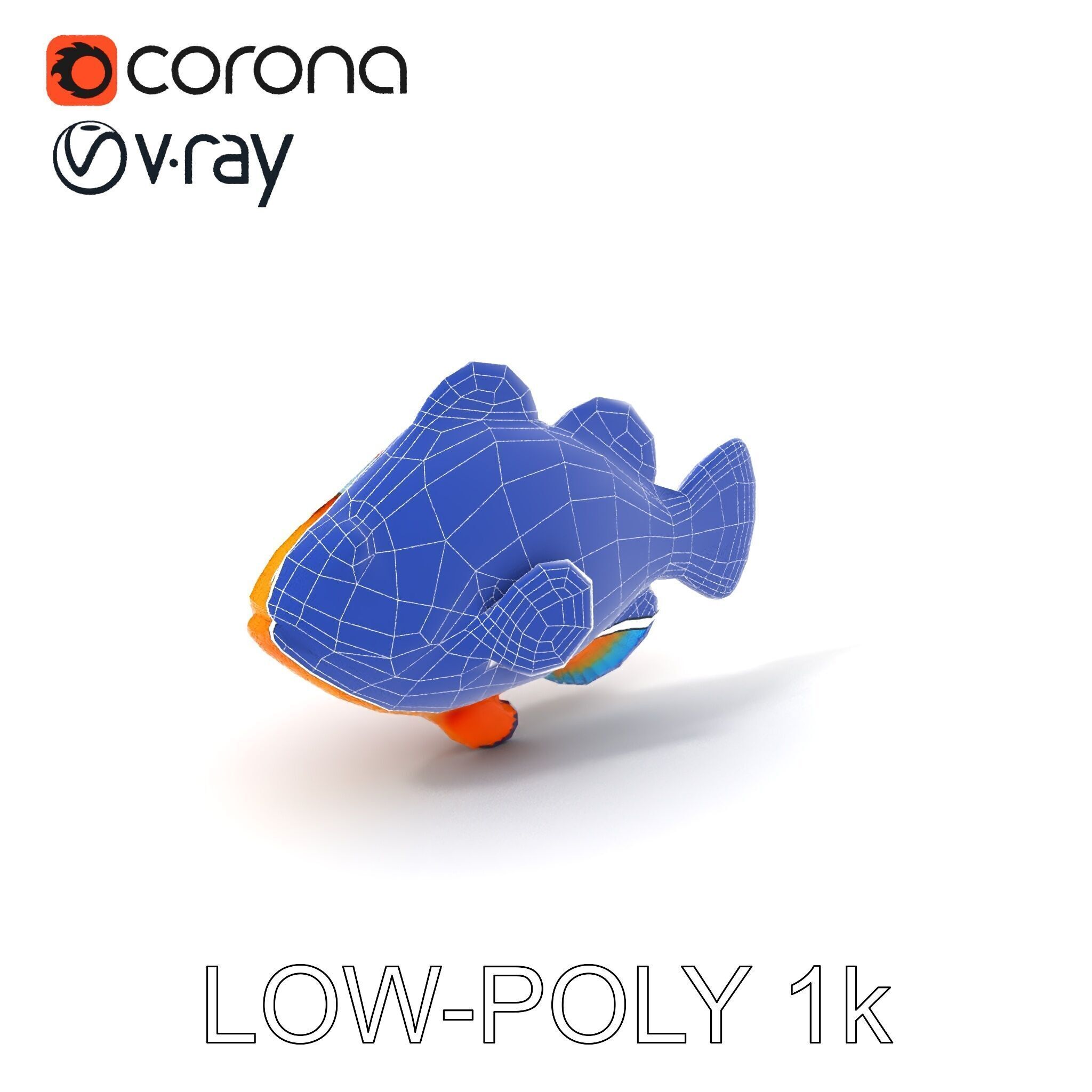 Clownfish Aquarium Model Pack Low-poly 3D model_27