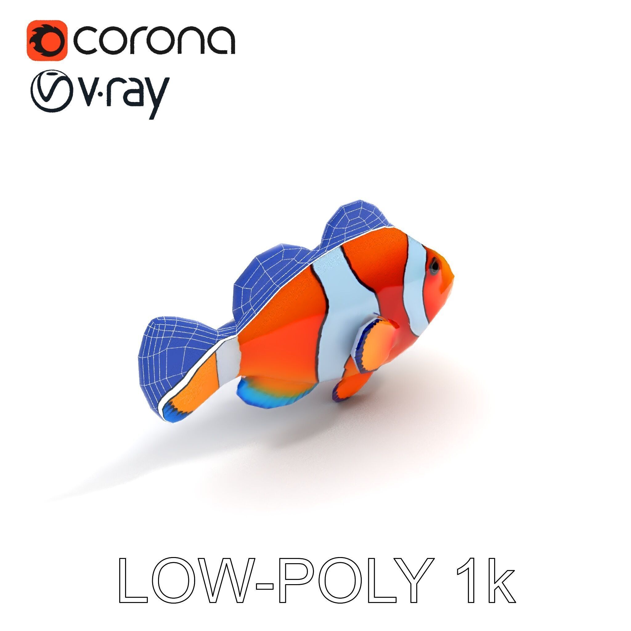 Clownfish Aquarium Model Pack Low-poly 3D model_19