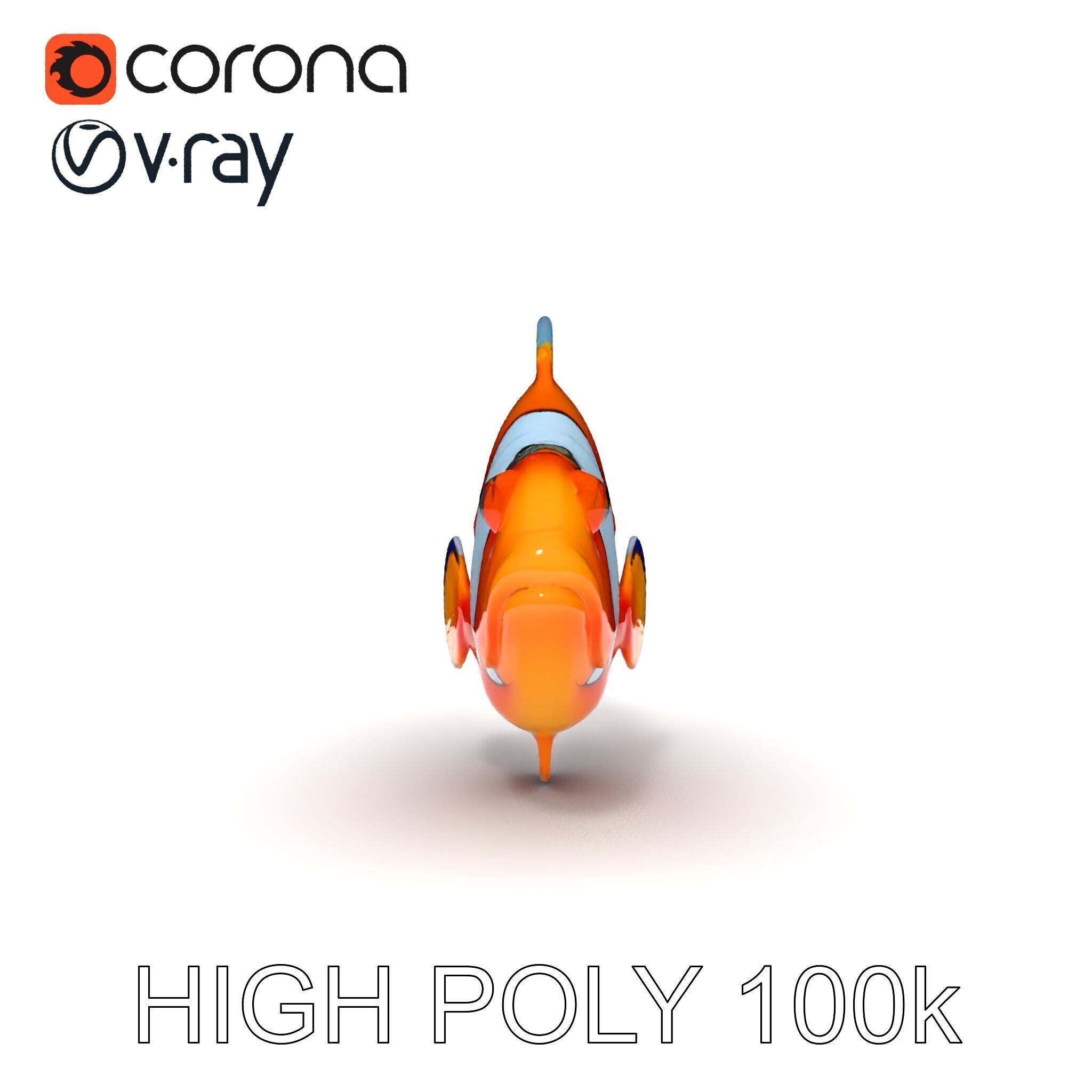 Clownfish Aquarium Model Pack Low-poly 3D model_13
