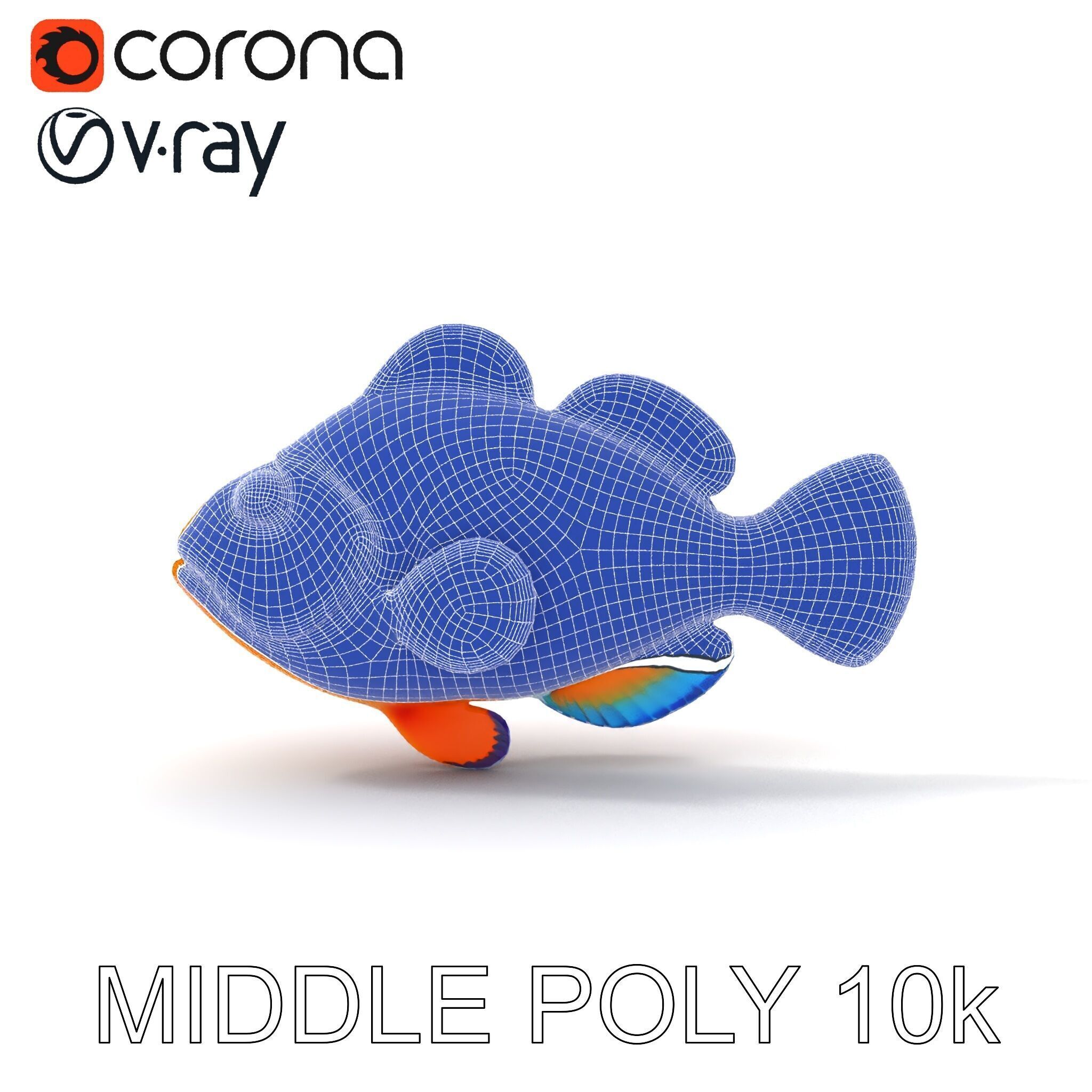 Clownfish Aquarium Model Pack Low-poly 3D model_26