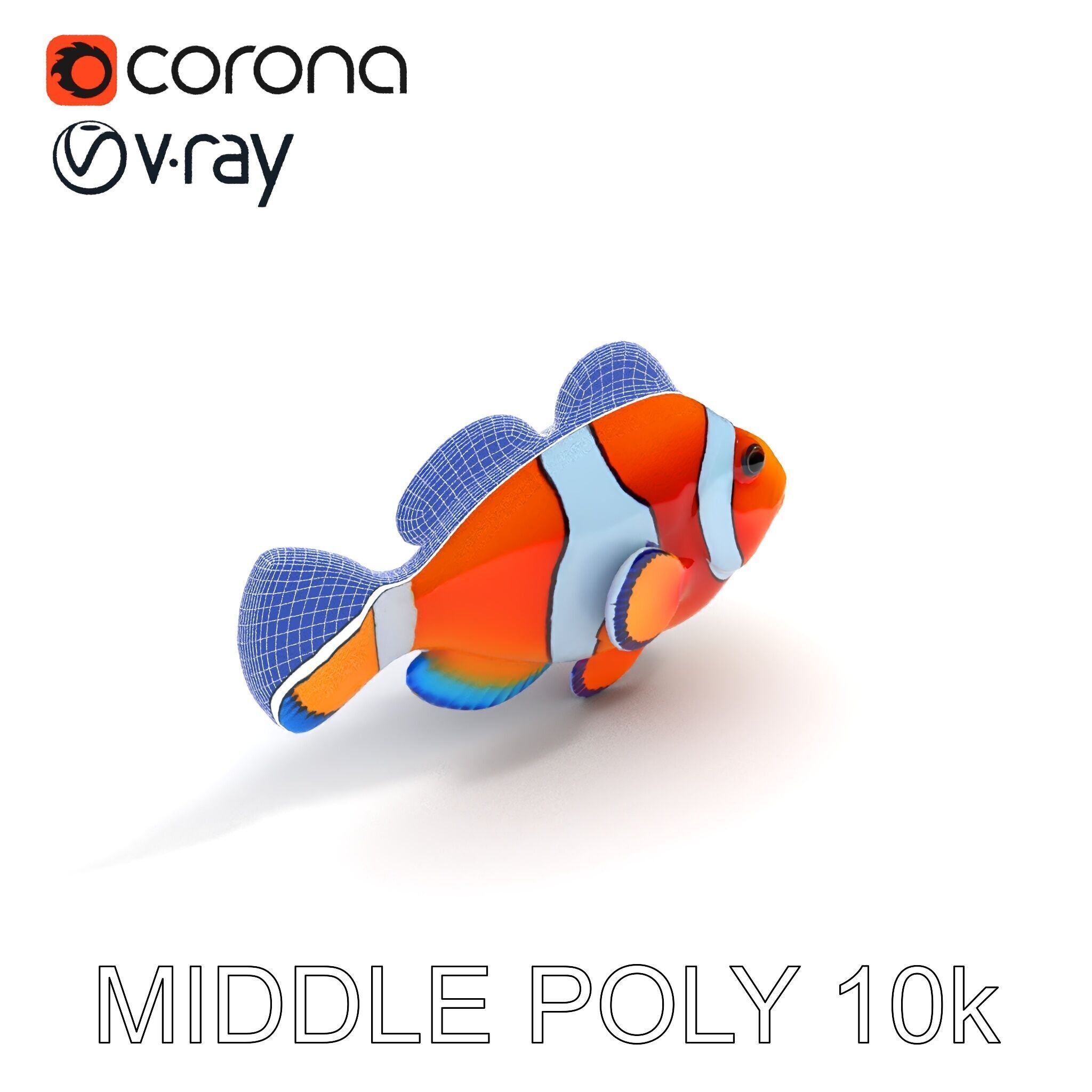 Clownfish Aquarium Model Pack Low-poly 3D model_14