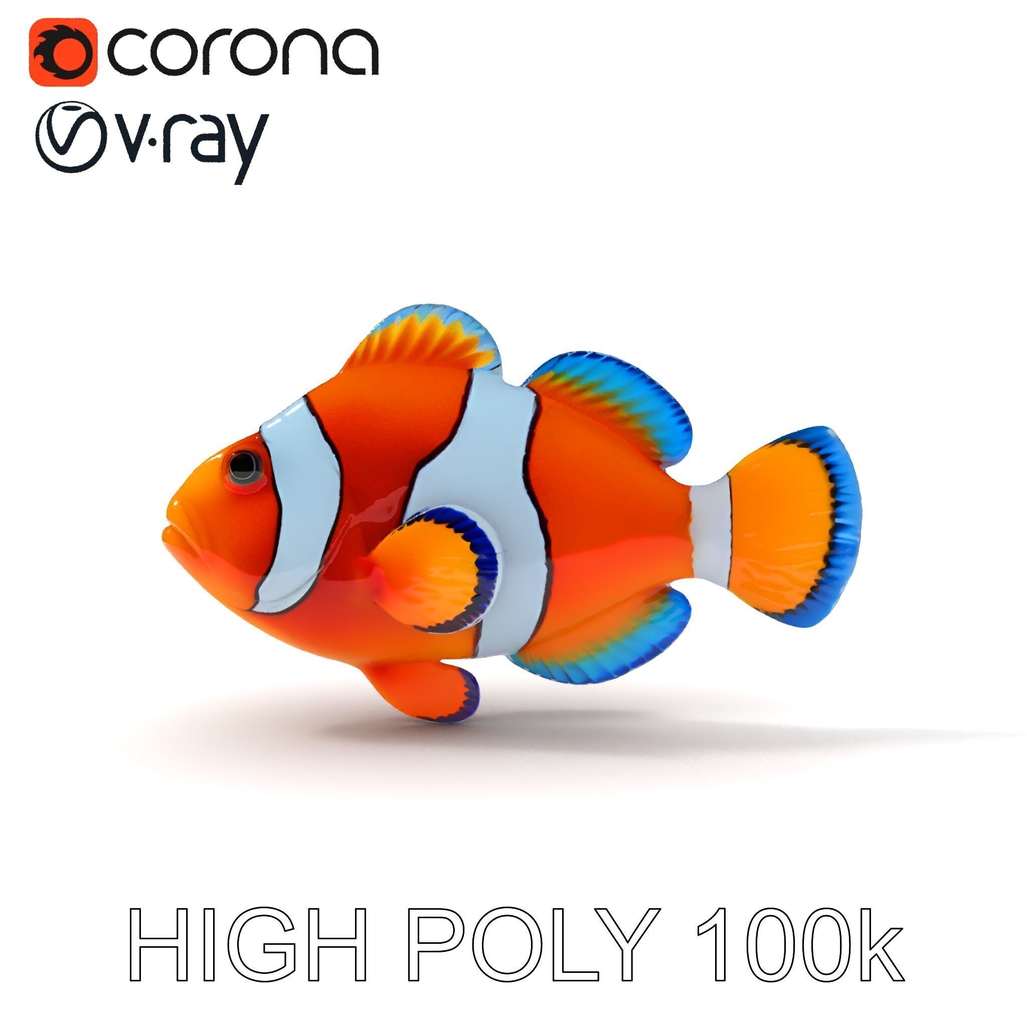 Clownfish Aquarium Model Pack Low-poly 3D model_28