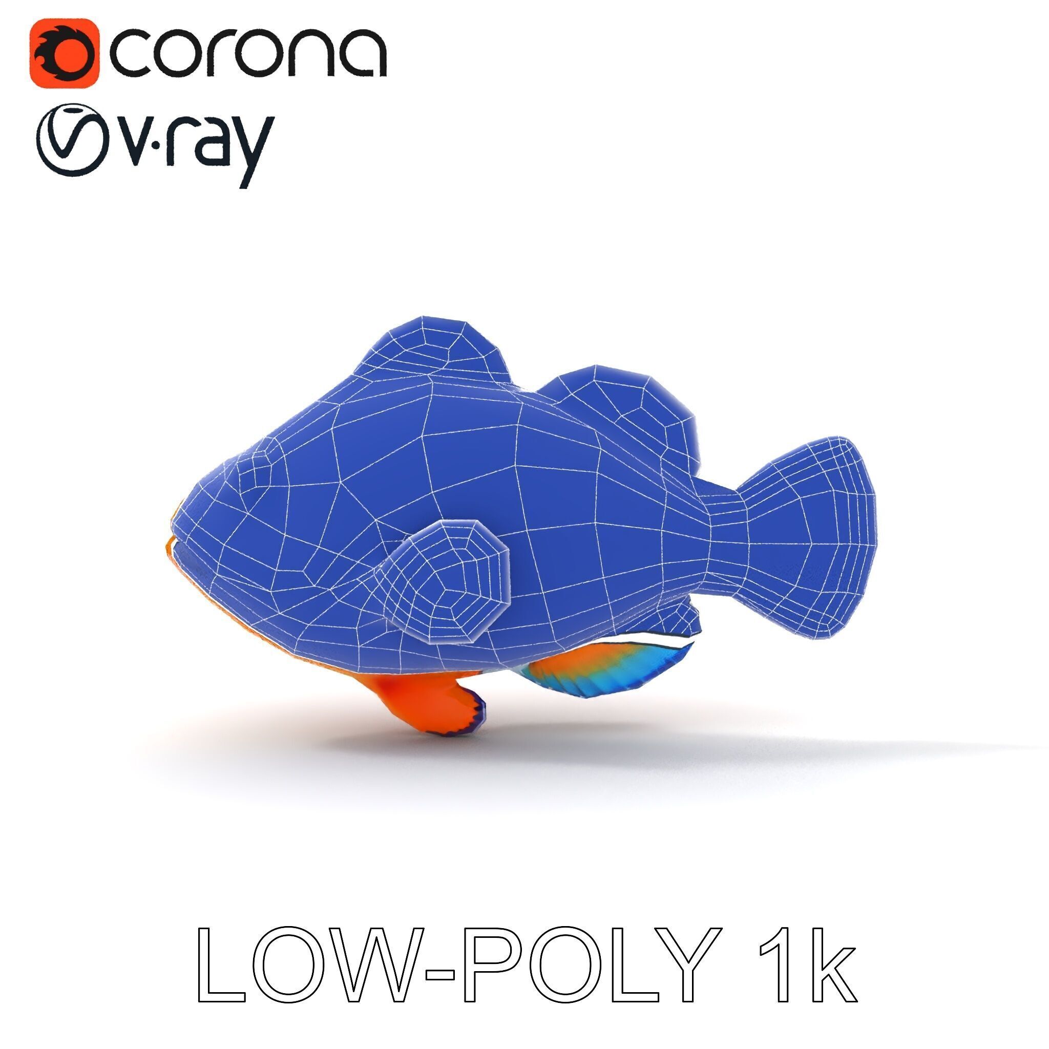 Clownfish Aquarium Model Pack Low-poly 3D model_21