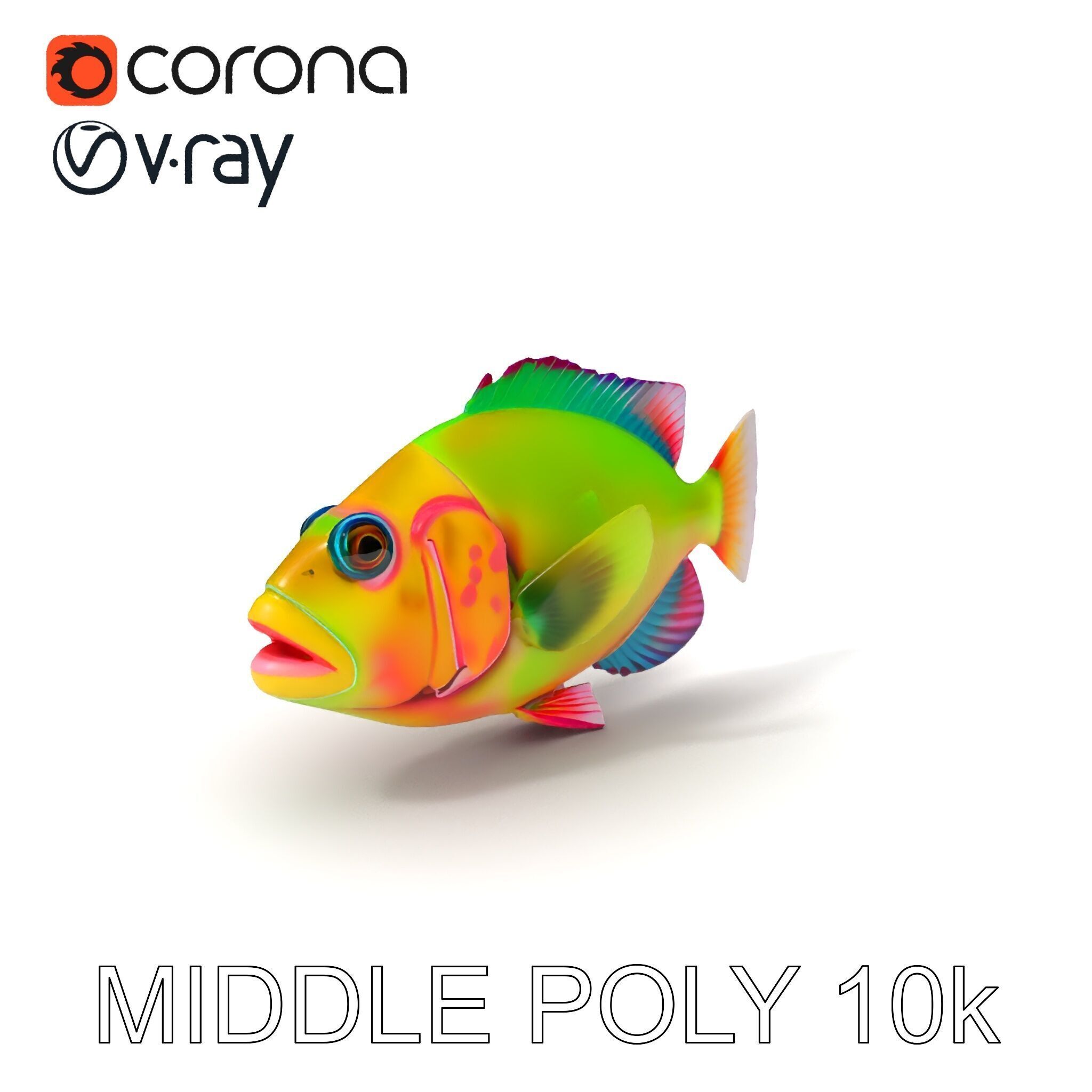 Colorful Tropical Fish D Model Pack Low-poly 3D model_34