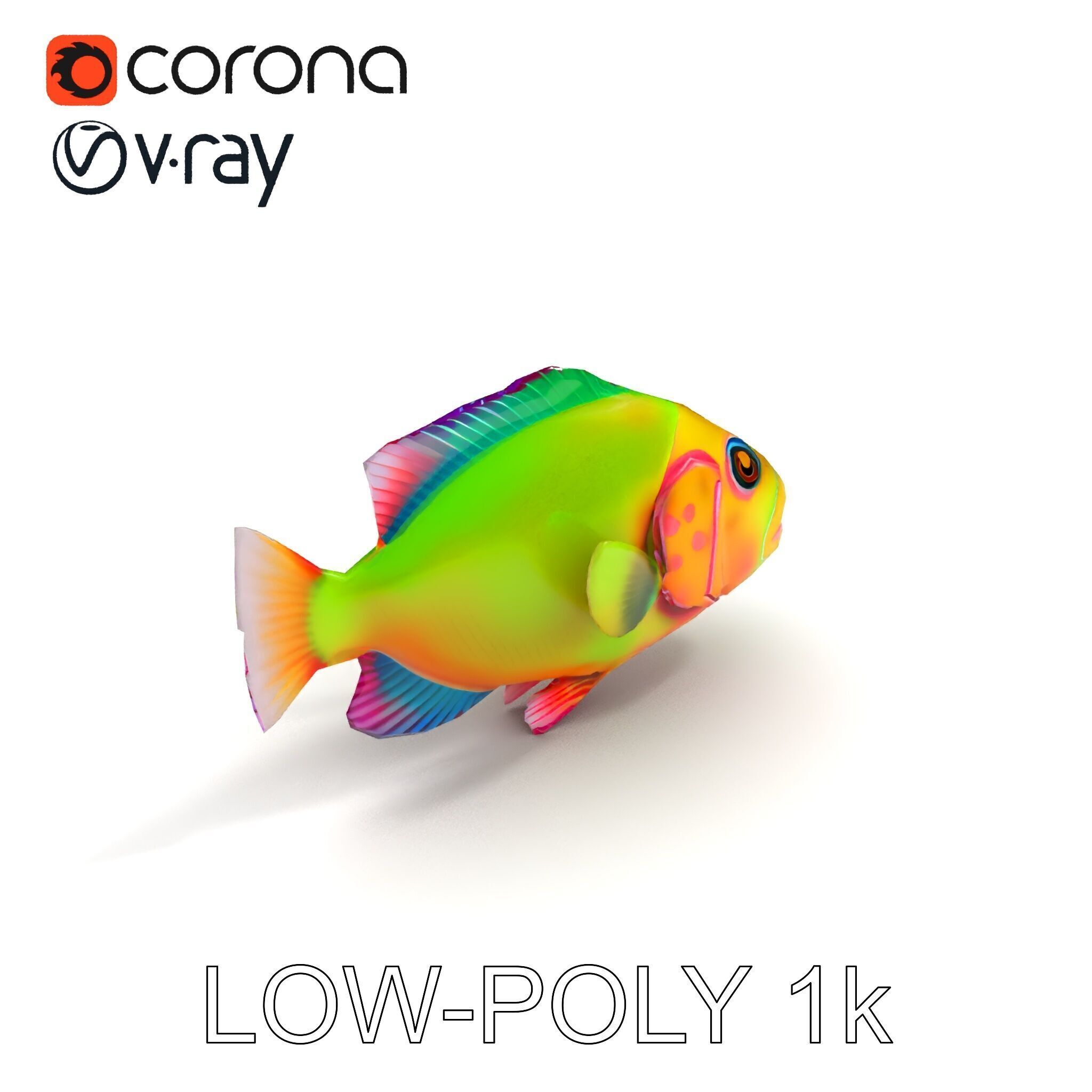 Colorful Tropical Fish D Model Pack Low-poly 3D model_13