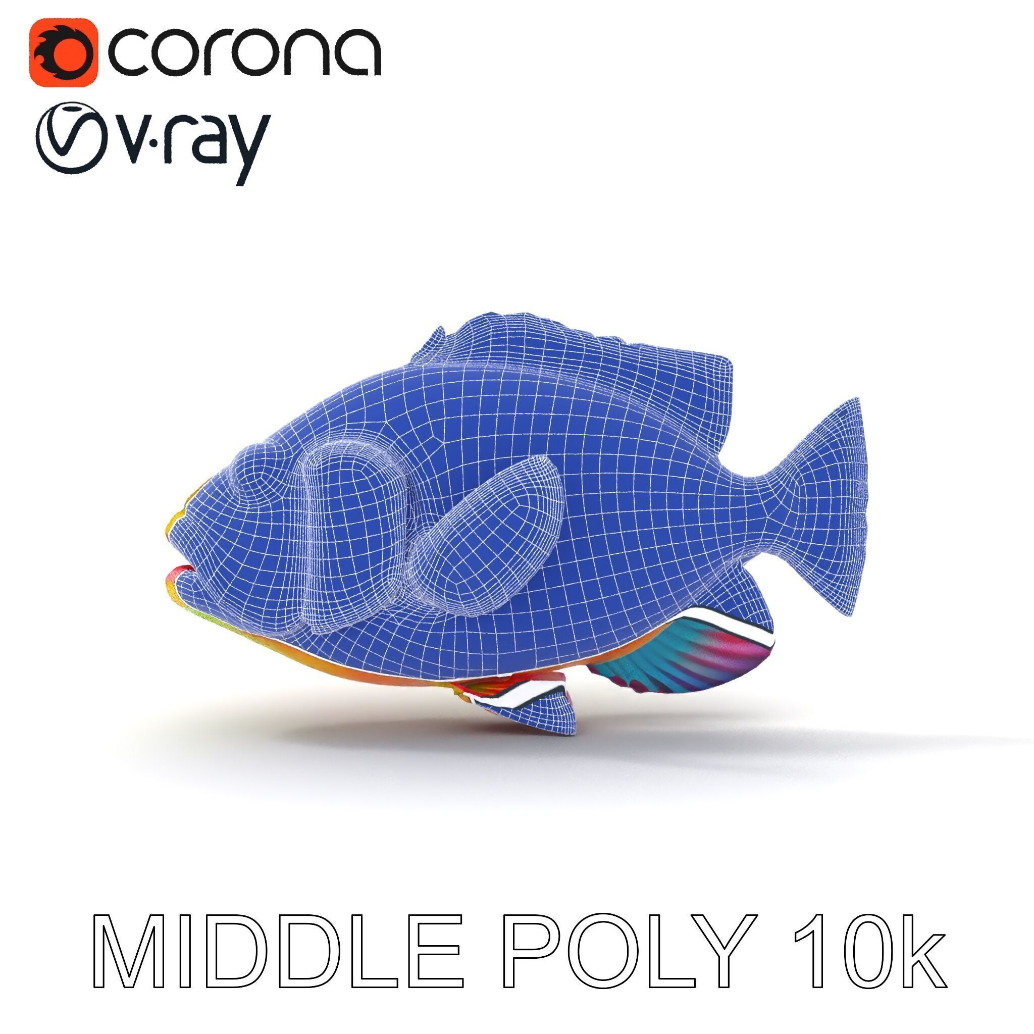 Colorful Tropical Fish D Model Pack Low-poly 3D model_6