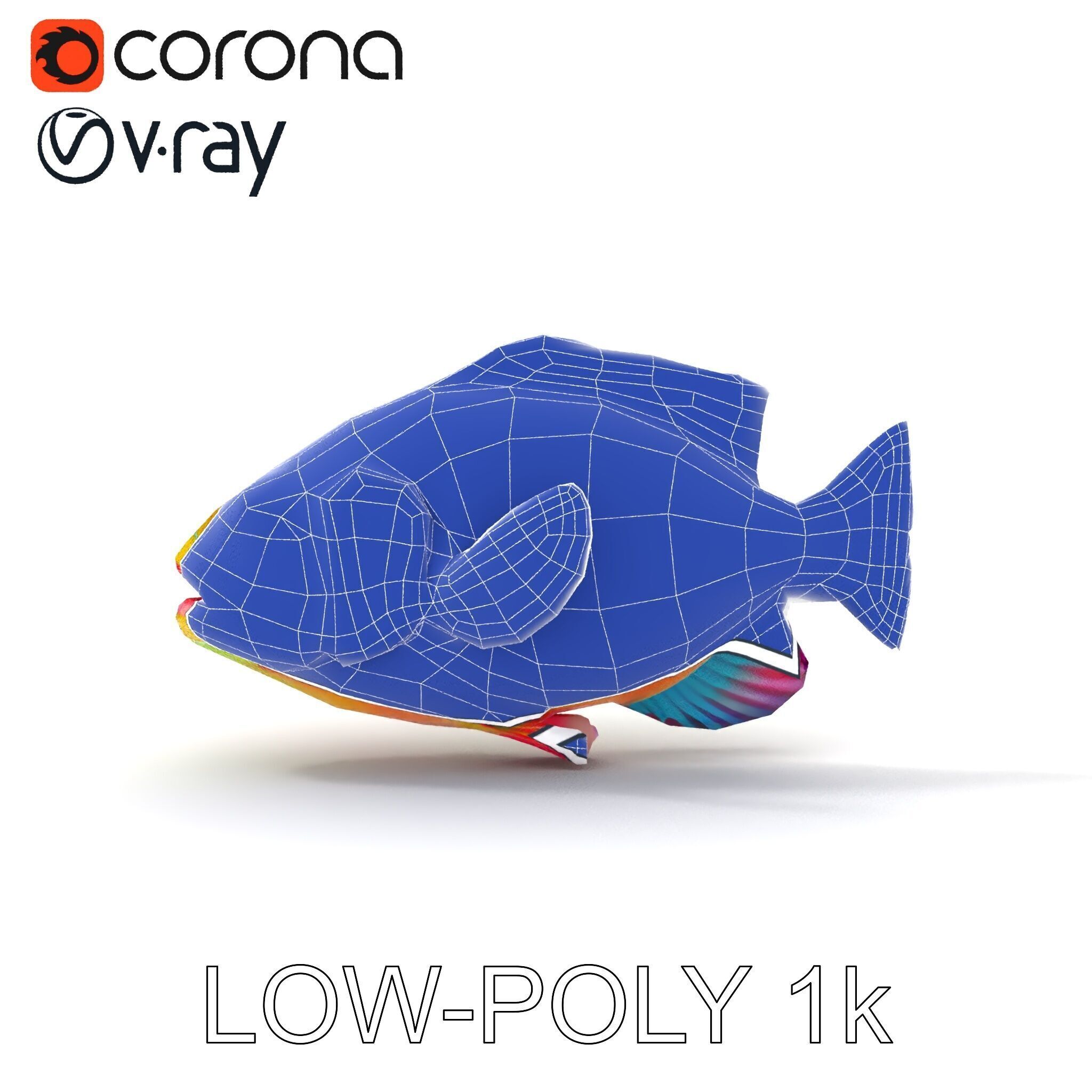 Colorful Tropical Fish D Model Pack Low-poly 3D model_26