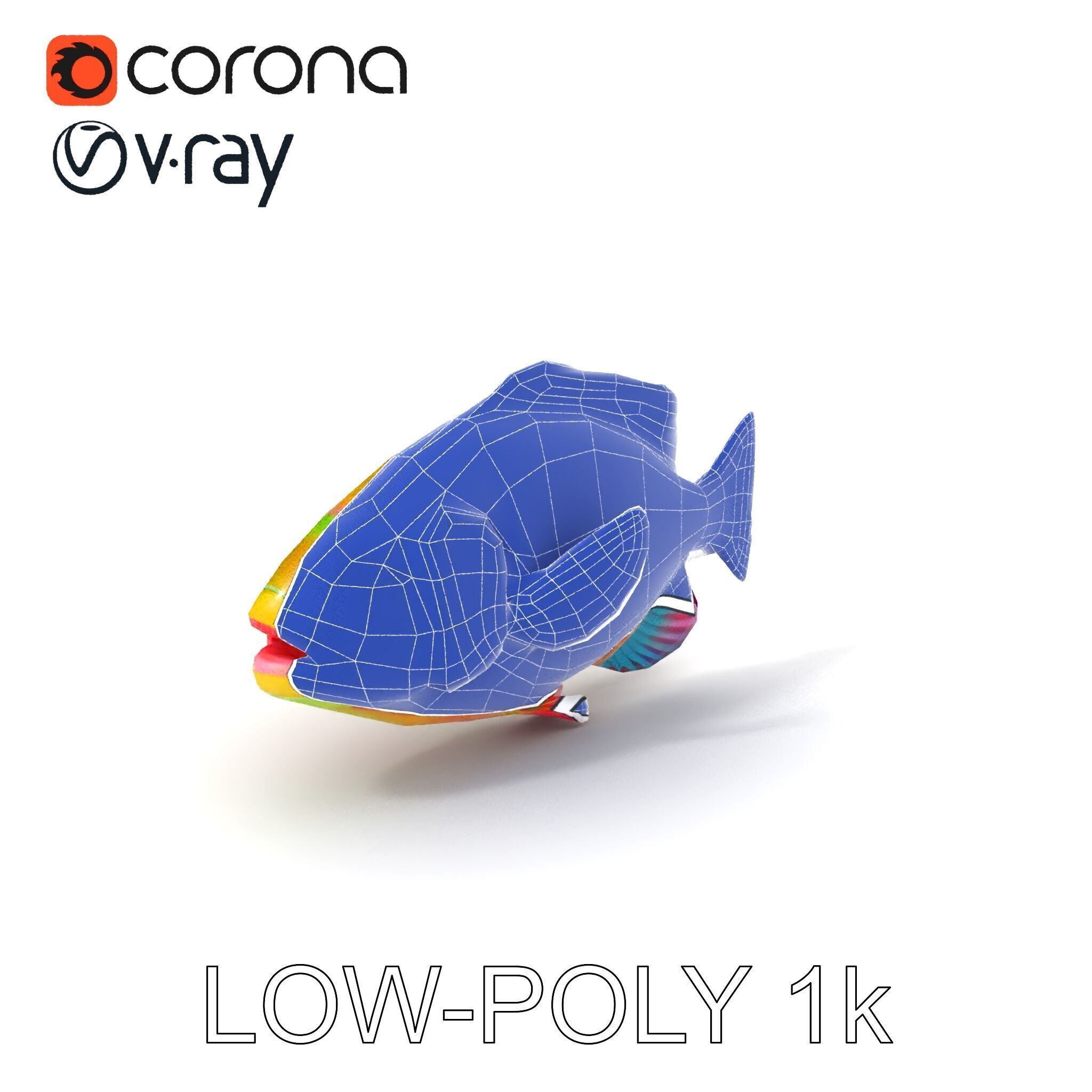 Colorful Tropical Fish D Model Pack Low-poly 3D model_10