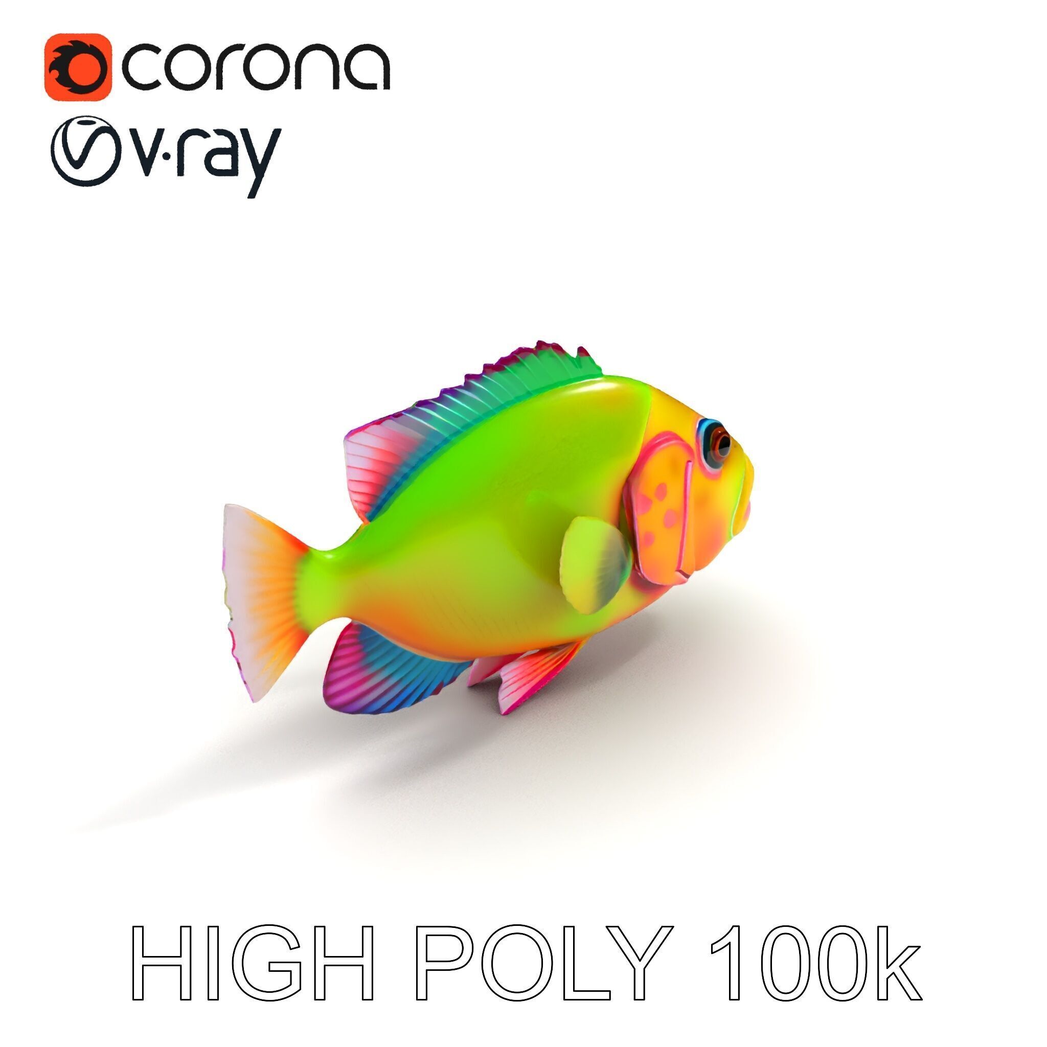 Colorful Tropical Fish D Model Pack Low-poly 3D model_18