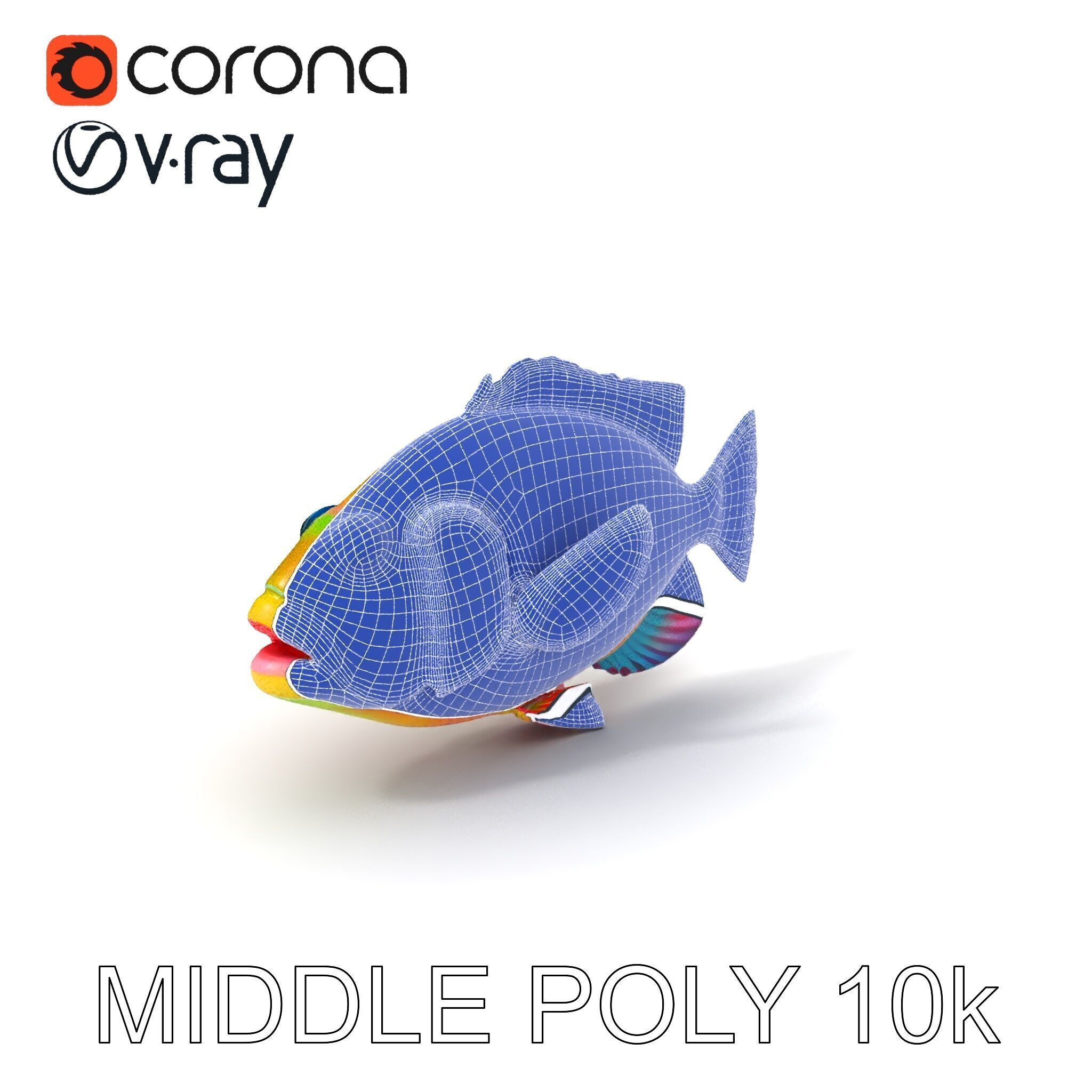 Colorful Tropical Fish D Model Pack Low-poly 3D model_25
