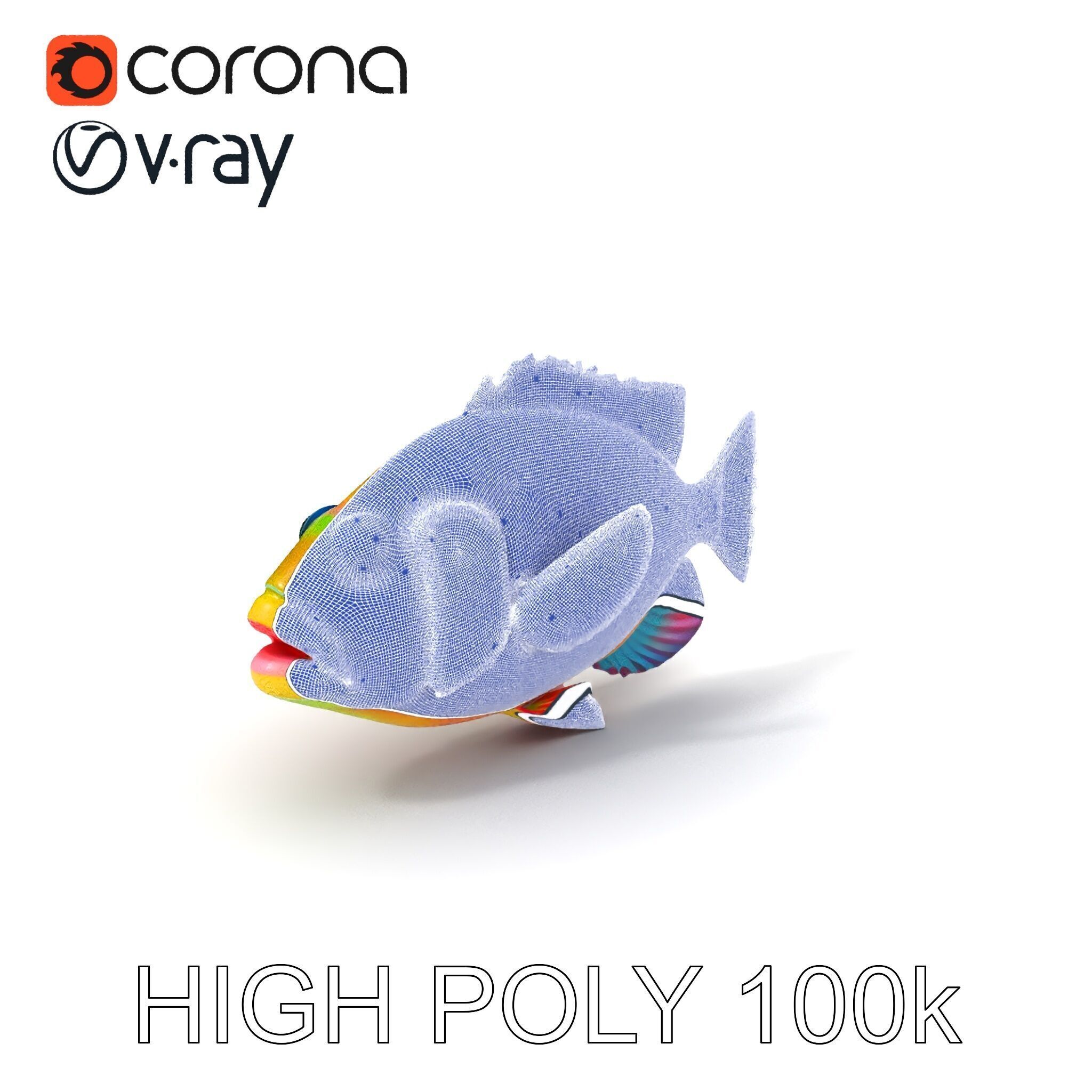 Colorful Tropical Fish D Model Pack Low-poly 3D model_3