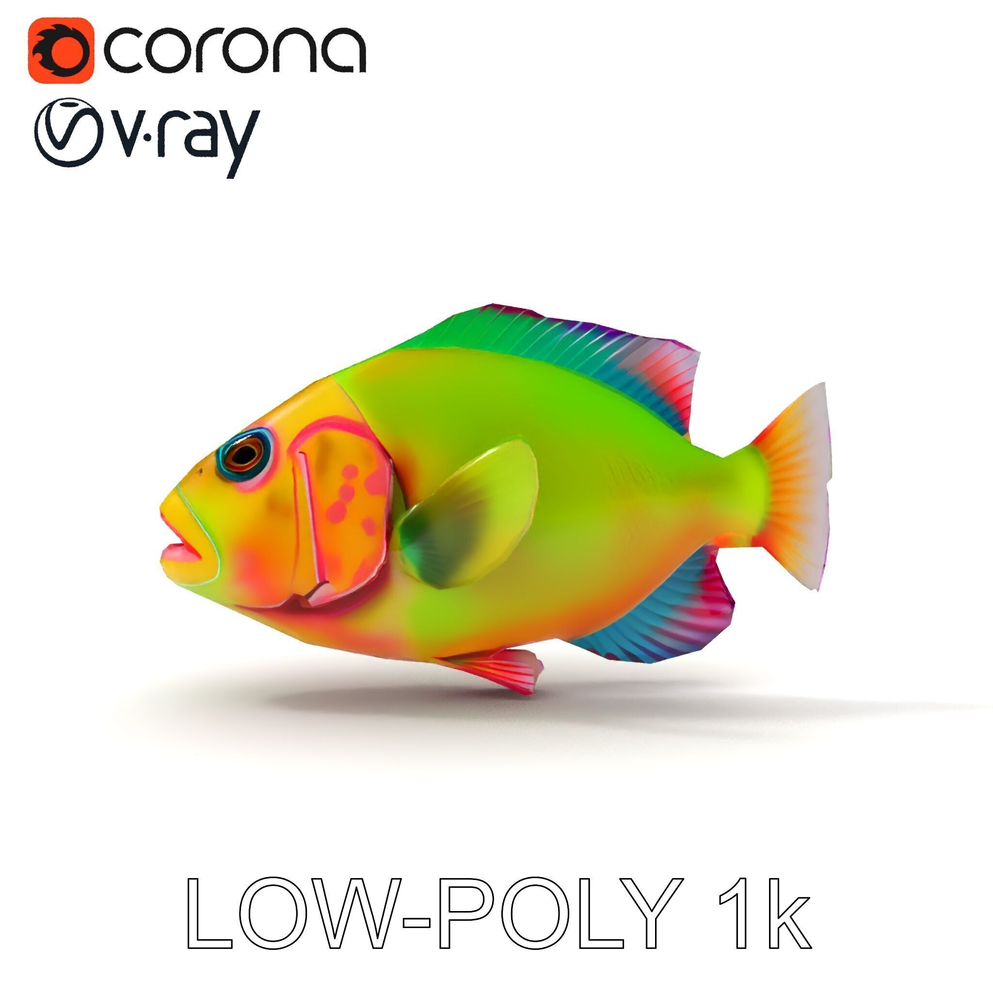 Colorful Tropical Fish D Model Pack Low-poly 3D model_23