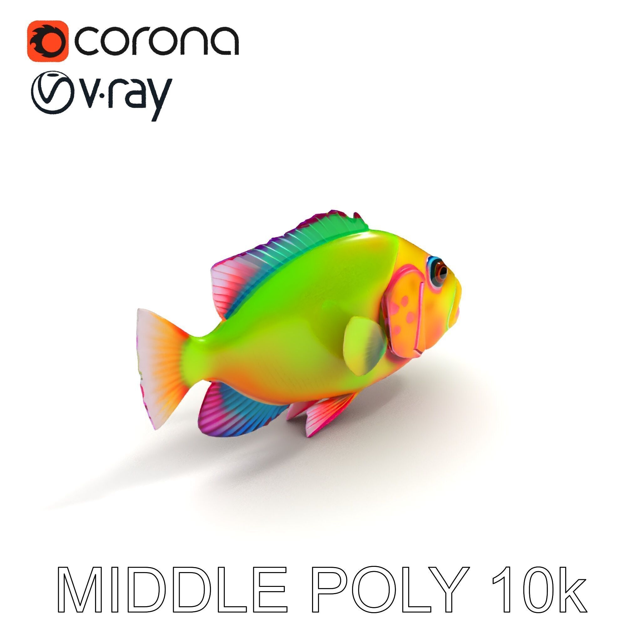 Colorful Tropical Fish D Model Pack Low-poly 3D model_14