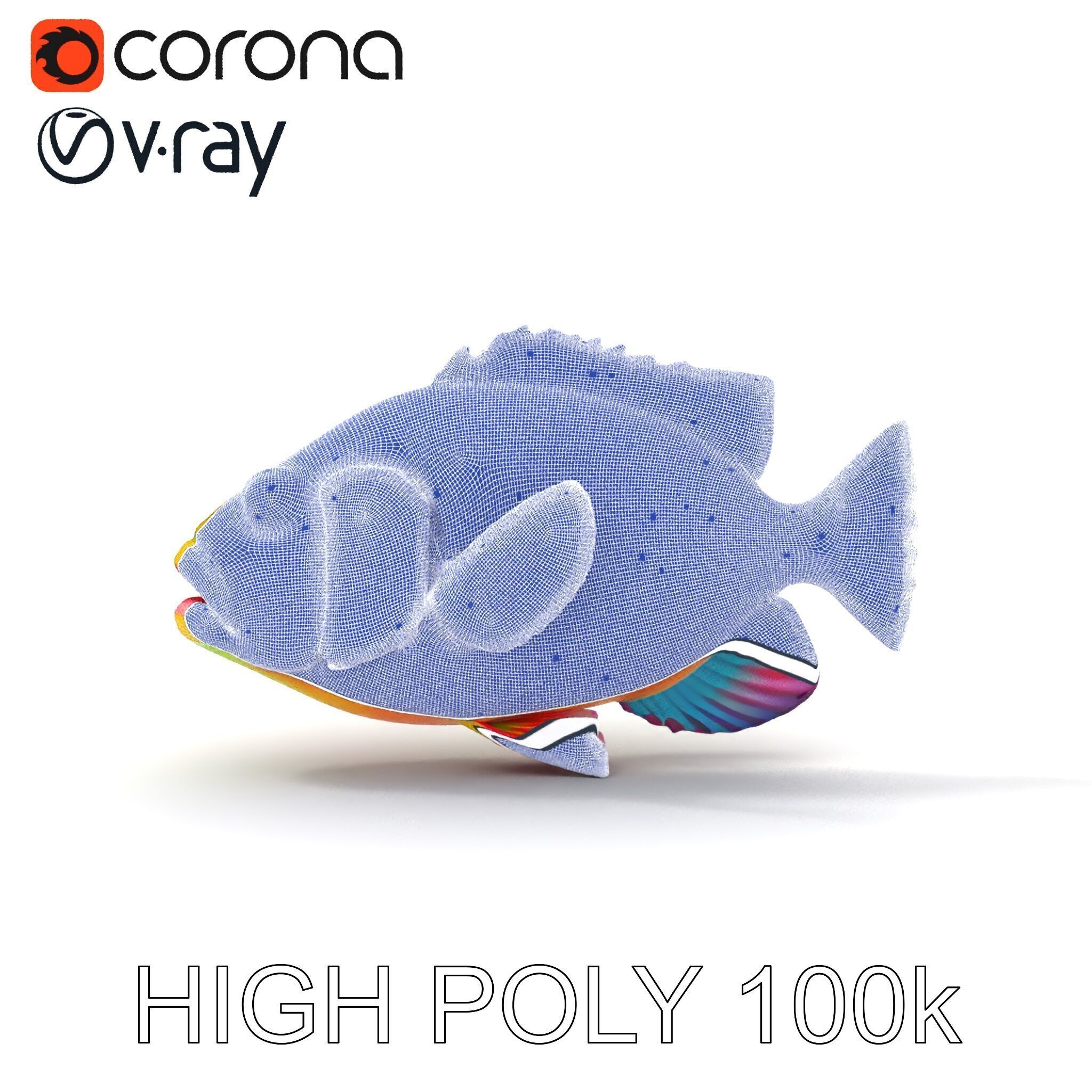 Colorful Tropical Fish D Model Pack Low-poly 3D model_24