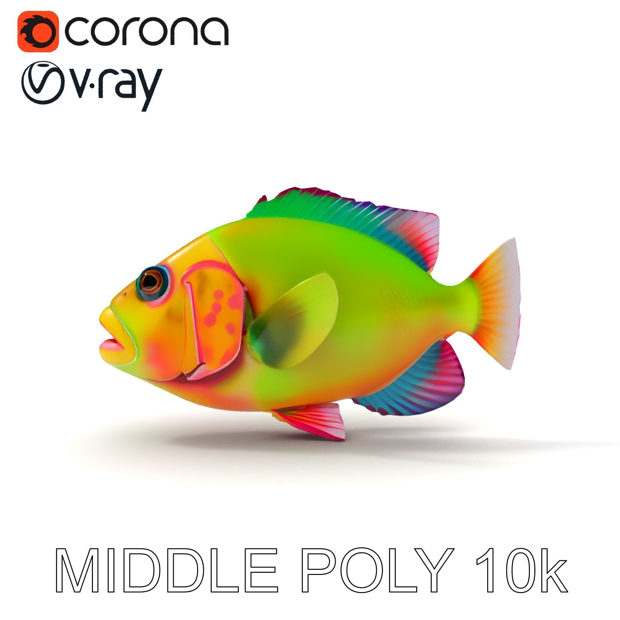 Colorful Tropical Fish D Model Pack Low-poly 3D model_22