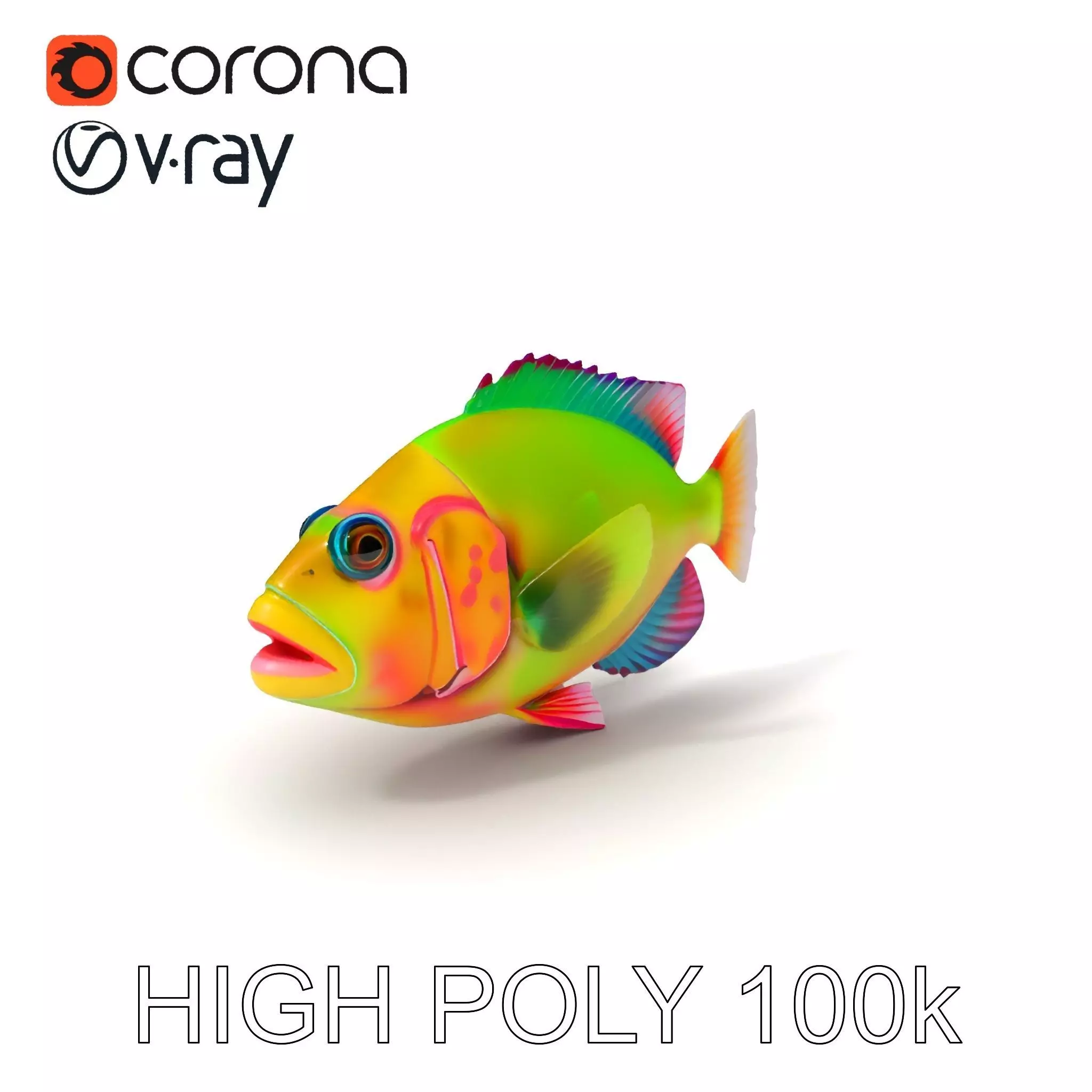 Colorful Tropical Fish D Model Pack Low-poly 3D model_0