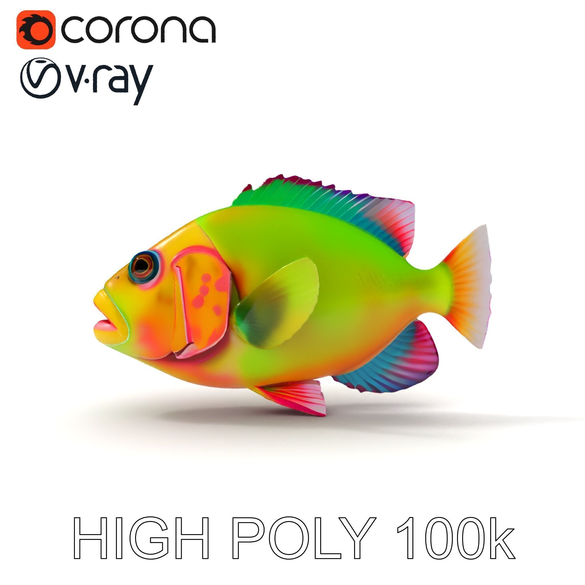 Colorful Tropical Fish D Model Pack Low-poly 3D model_11