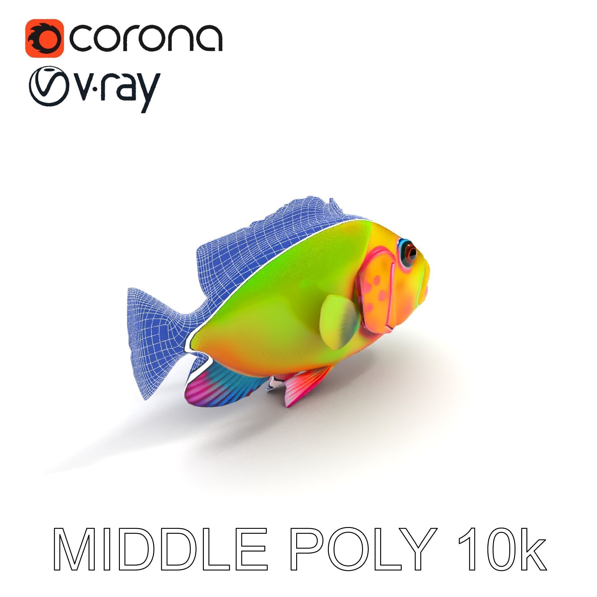 Colorful Tropical Fish D Model Pack Low-poly 3D model_9