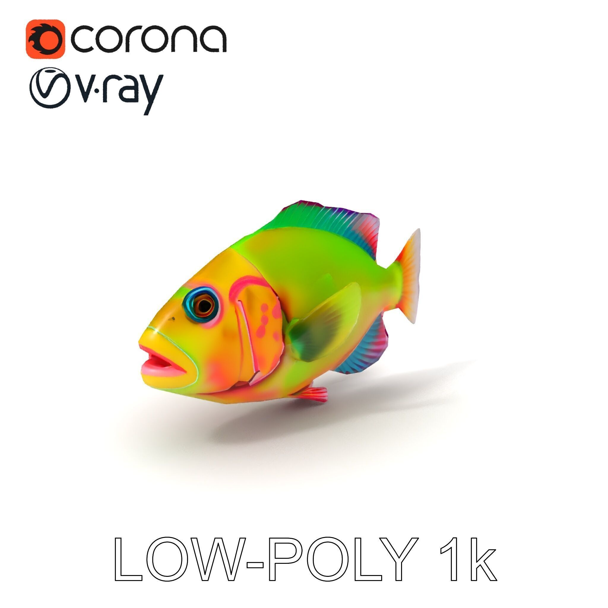 Colorful Tropical Fish D Model Pack Low-poly 3D model_29