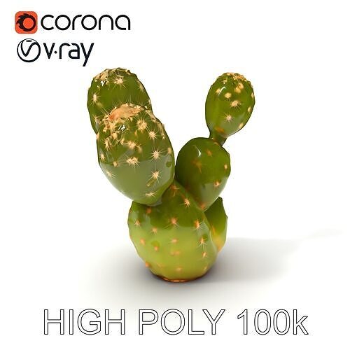 3D model Realistic Cactus Model Pack with PBR Textures VR / AR / low ...