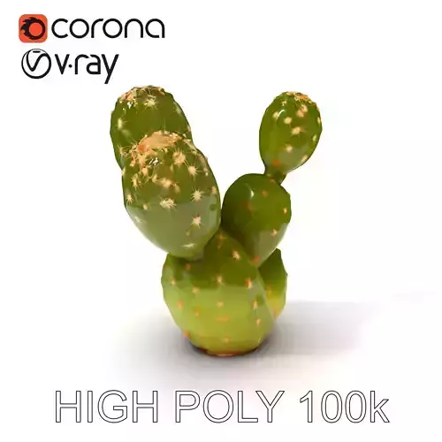 Realistic Cactus Model Pack with PBR Textures