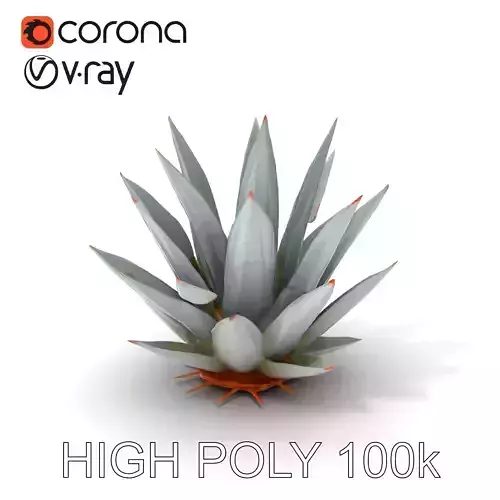 Agave Plant Model Pack for Realistic Rendering Low-poly 3D model
