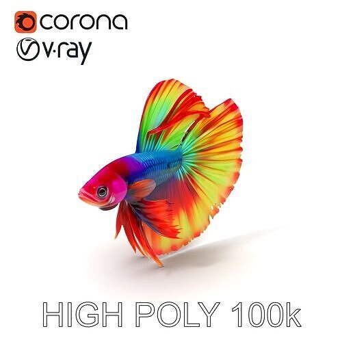 Vibrant Betta Fish Model Pack Low-poly 3D model