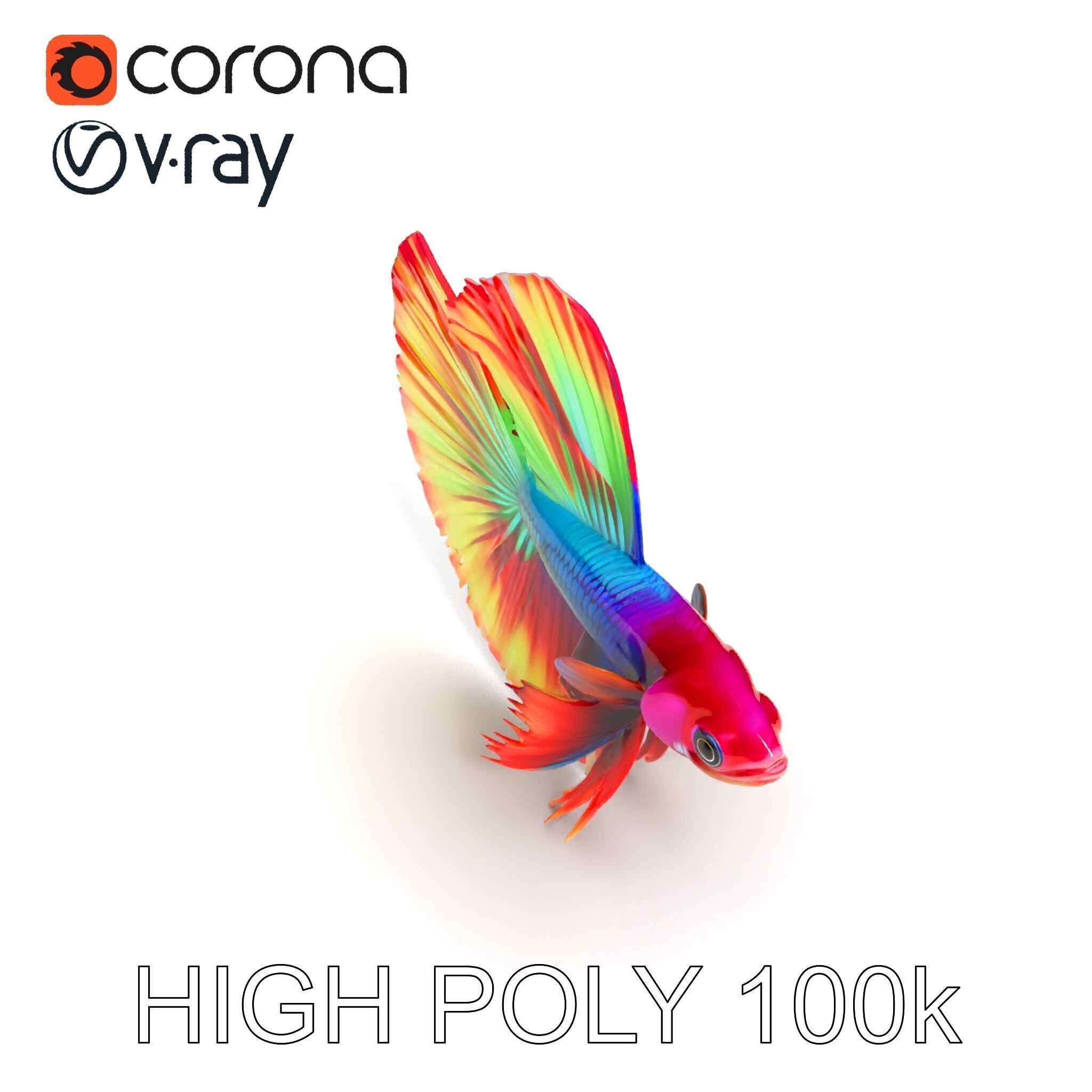 Vibrant Betta Fish Model Pack Low-poly 3D model_29