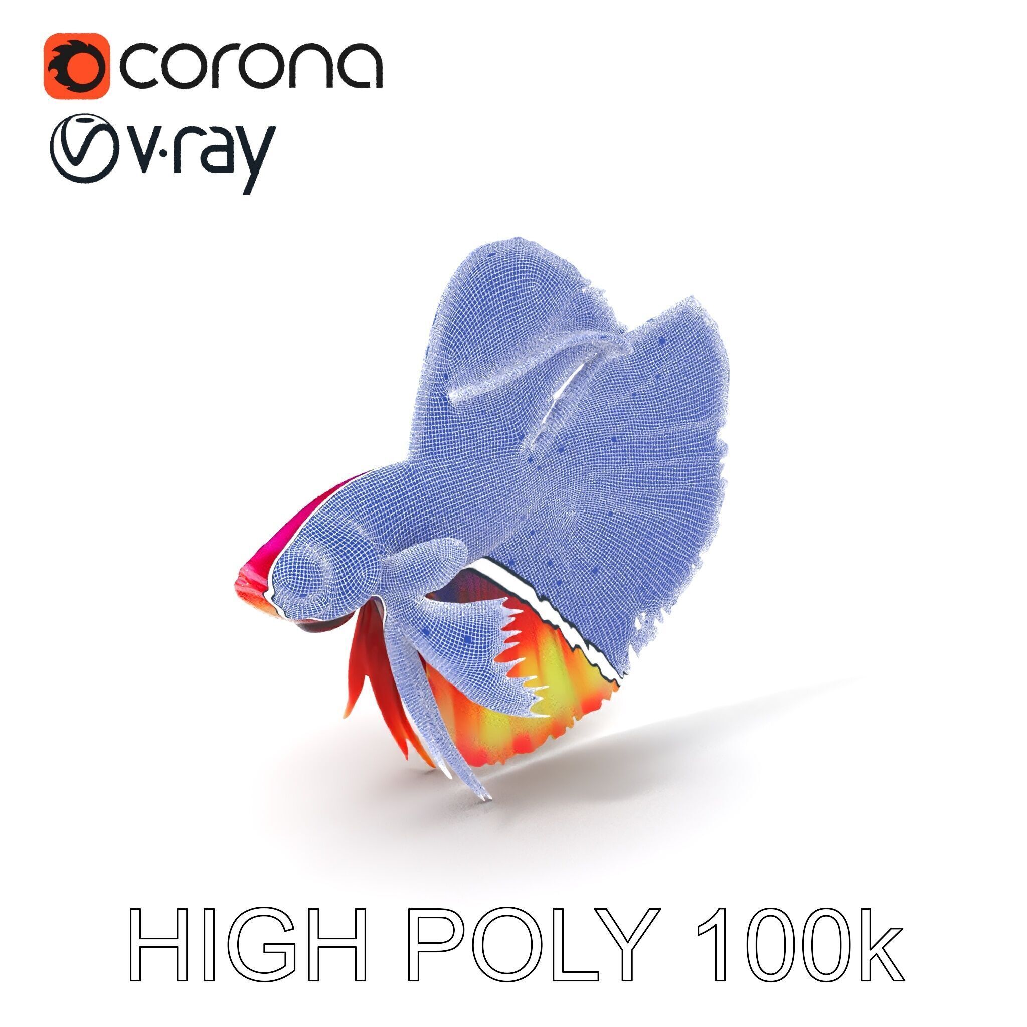 Vibrant Betta Fish Model Pack Low-poly 3D model_3