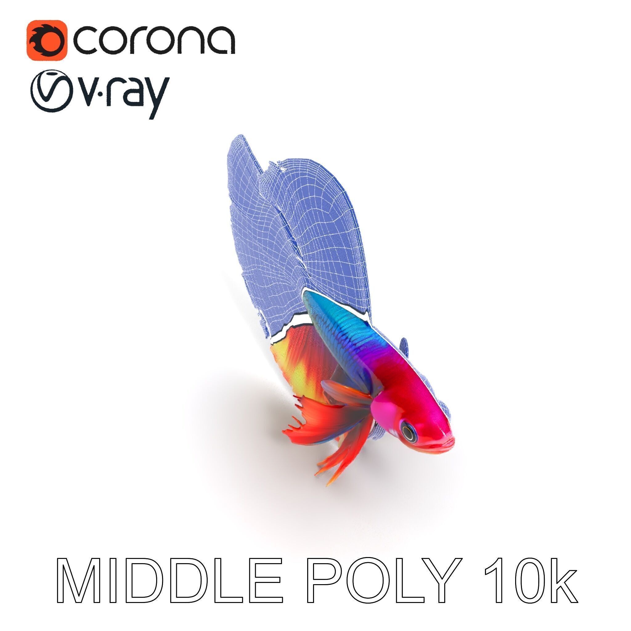 Vibrant Betta Fish Model Pack Low-poly 3D model_27