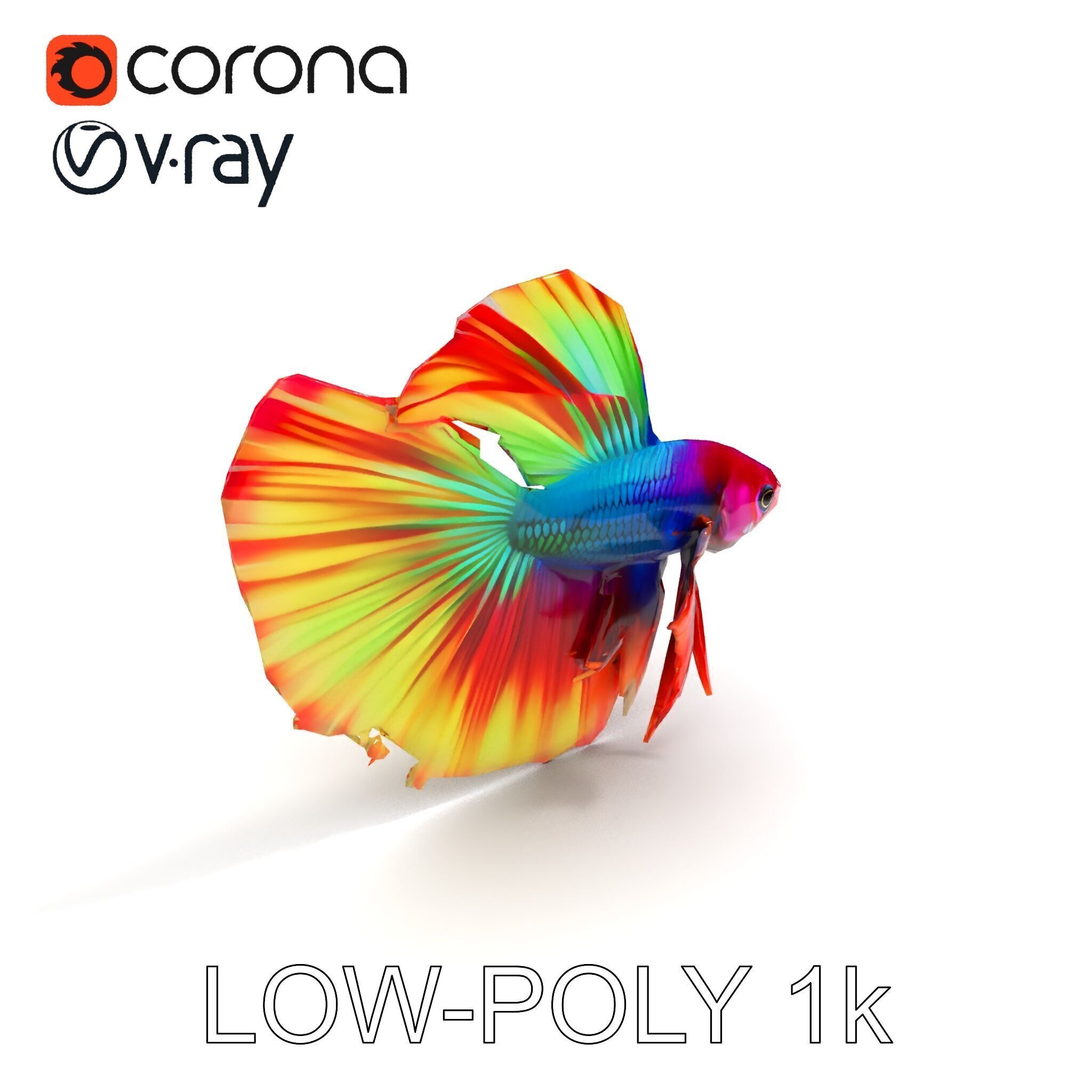 Vibrant Betta Fish Model Pack Low-poly 3D model_25