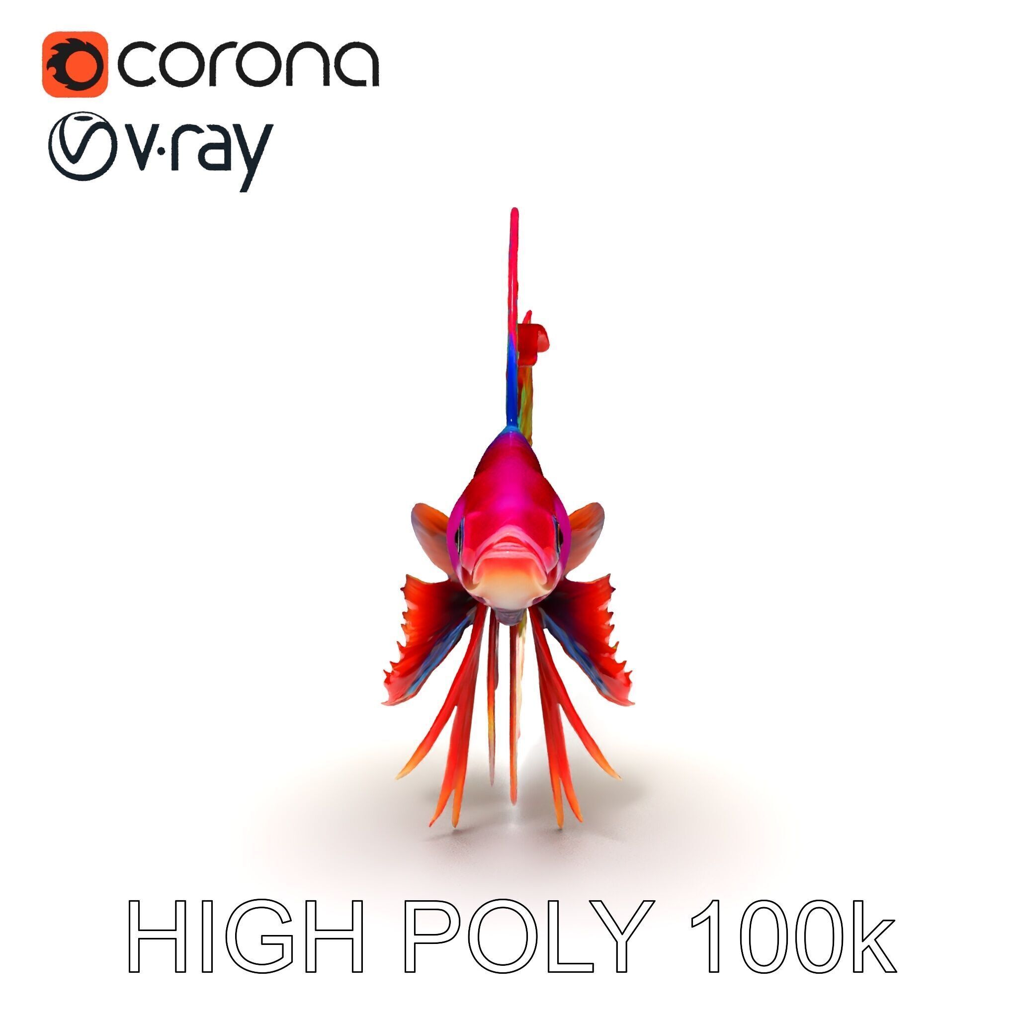 Vibrant Betta Fish Model Pack Low-poly 3D model_12