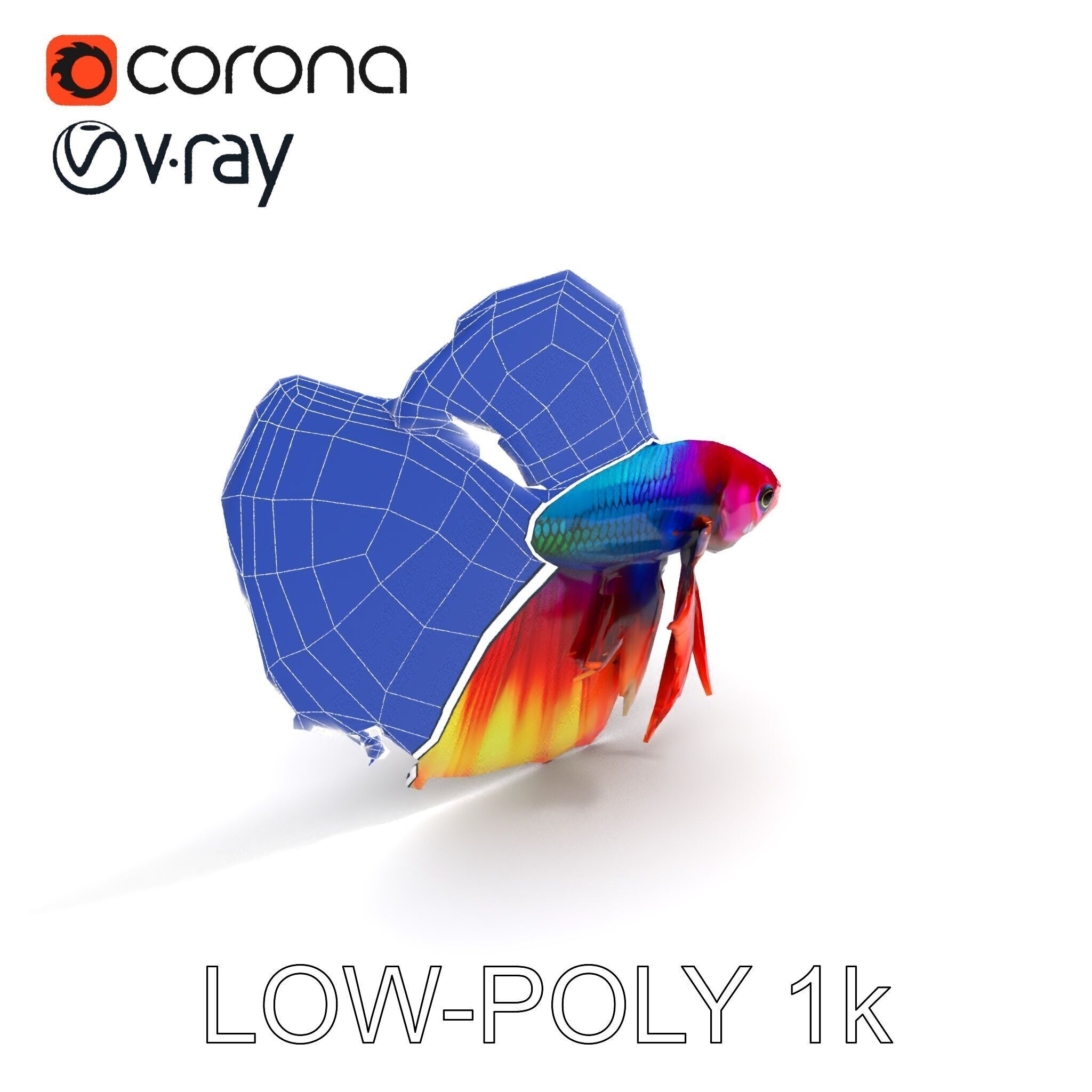Vibrant Betta Fish Model Pack Low-poly 3D model_19
