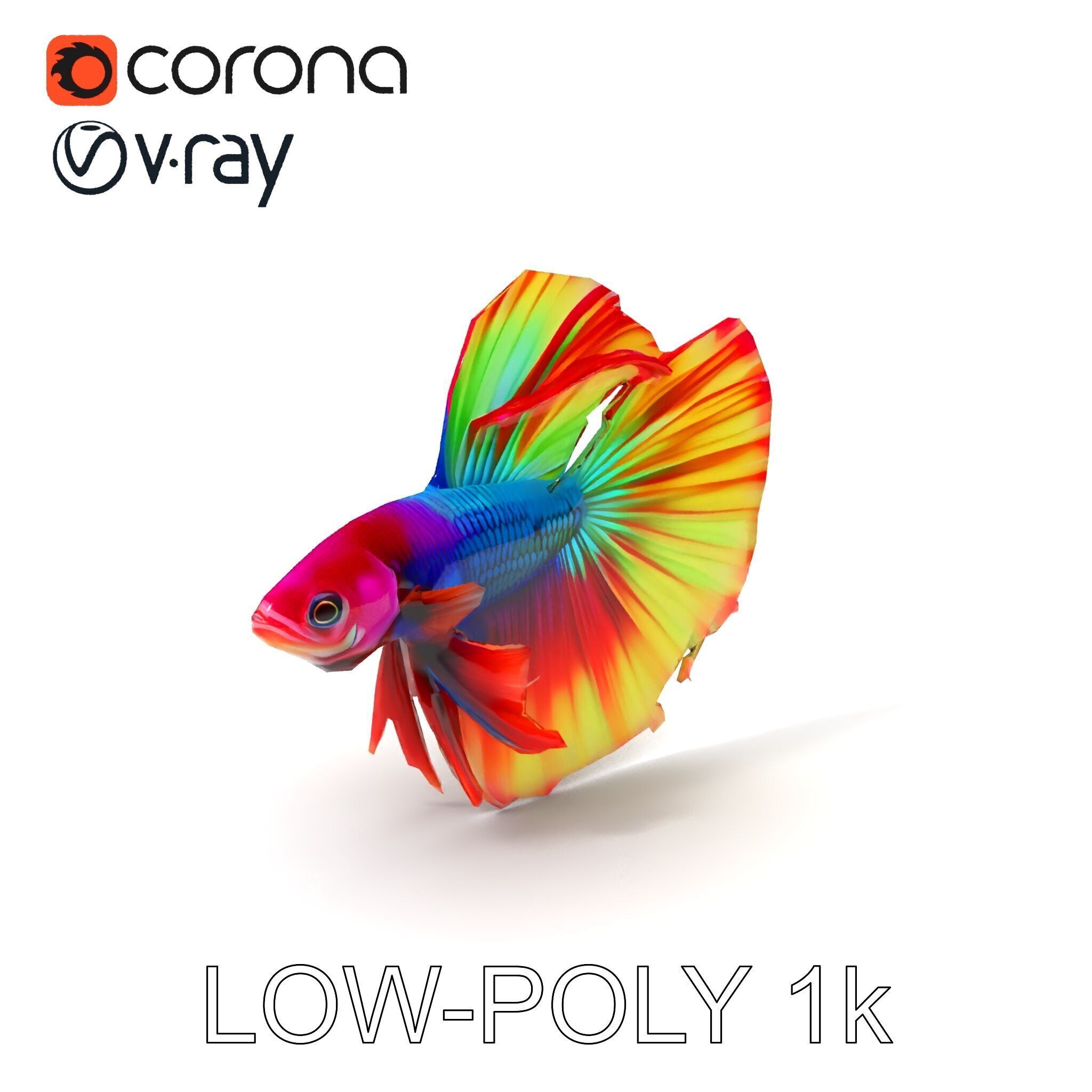 Vibrant Betta Fish Model Pack Low-poly 3D model_14