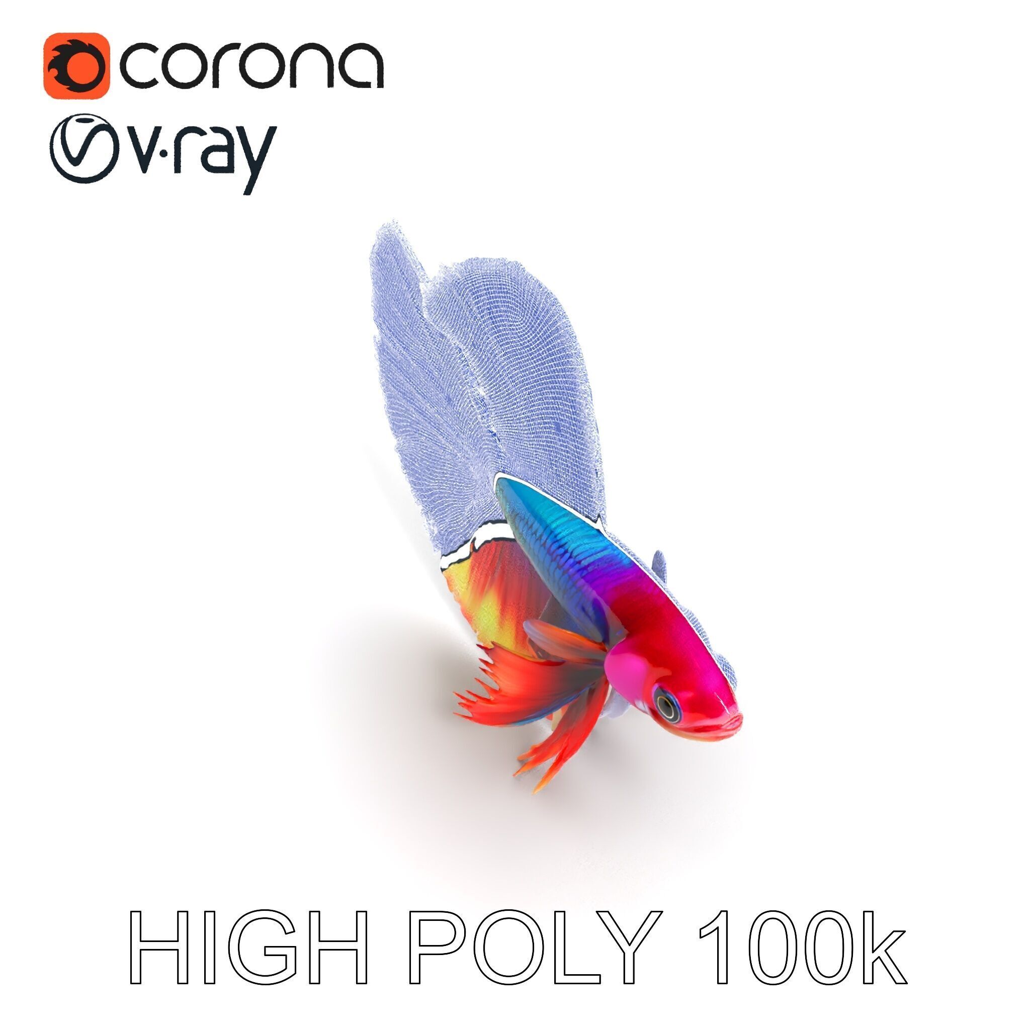 Vibrant Betta Fish Model Pack Low-poly 3D model_26