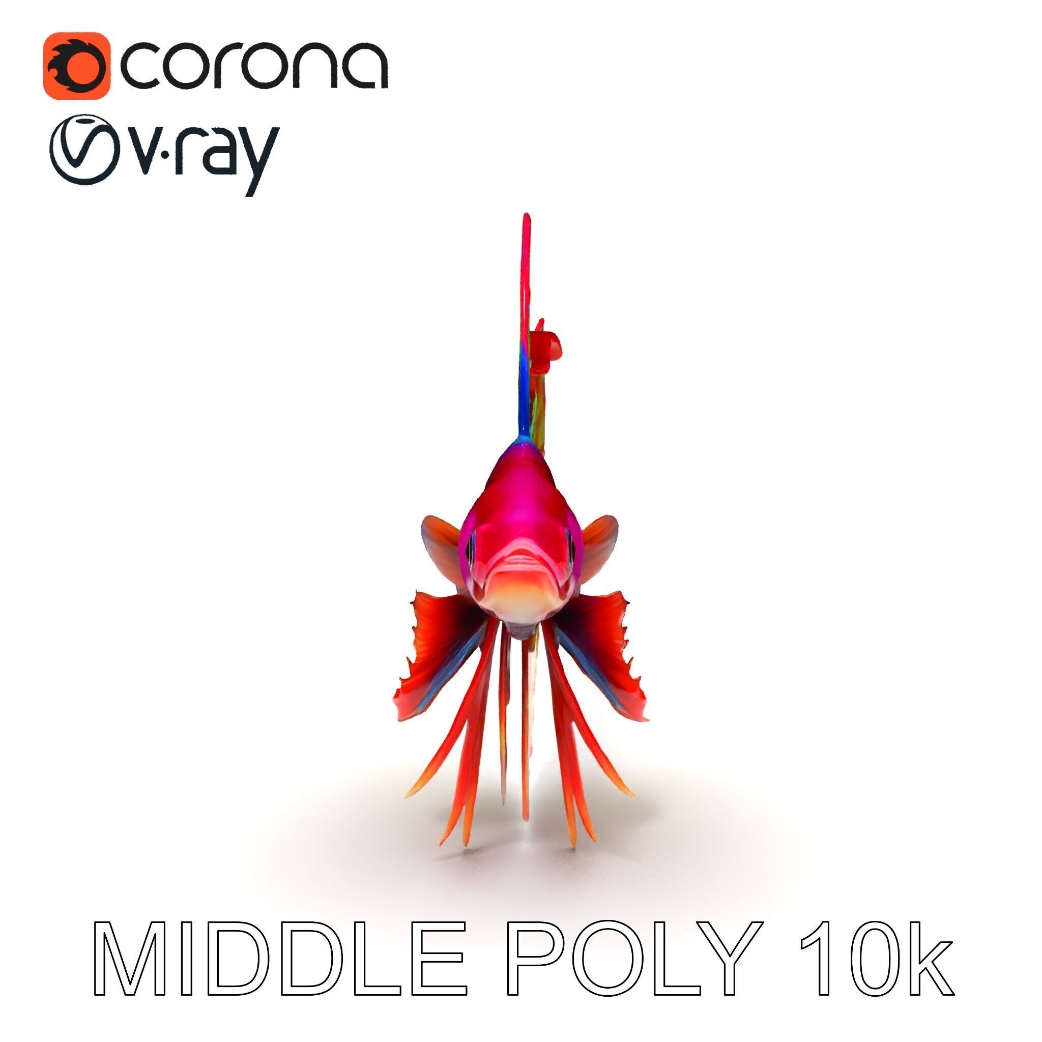 Vibrant Betta Fish Model Pack Low-poly 3D model_10
