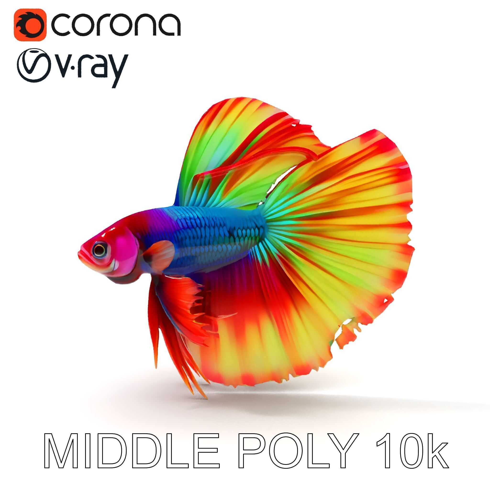 Vibrant Betta Fish Model Pack Low-poly 3D model_30