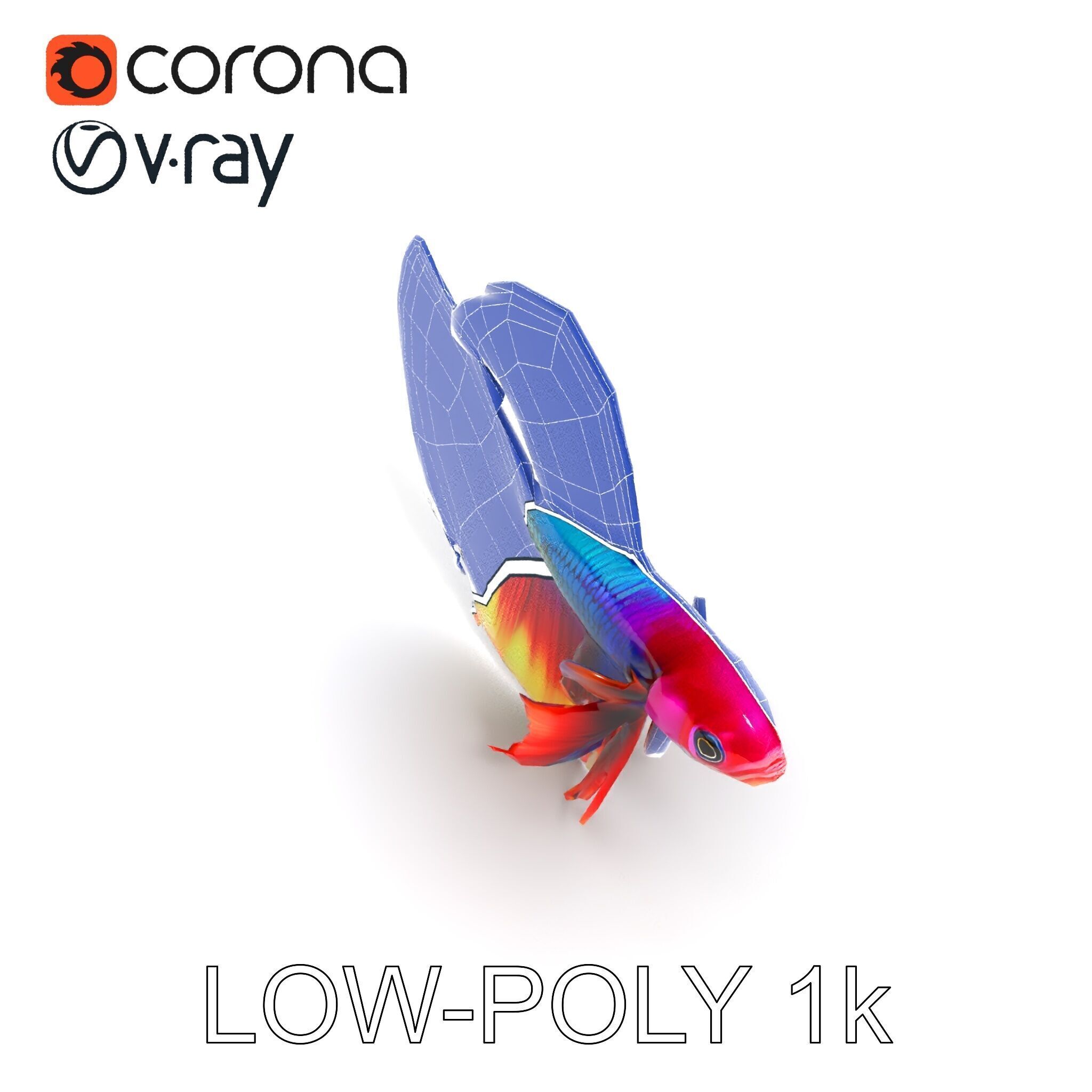Vibrant Betta Fish Model Pack Low-poly 3D model_7