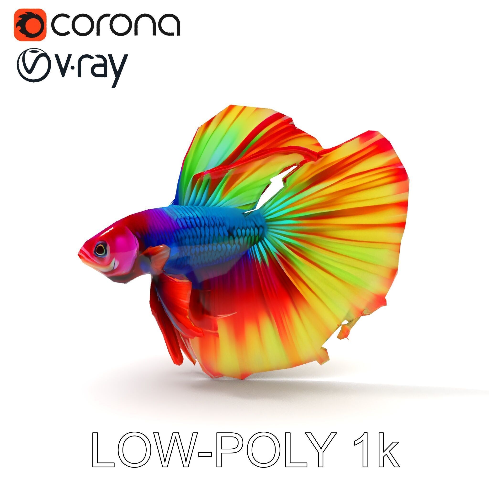 Vibrant Betta Fish Model Pack Low-poly 3D model_31