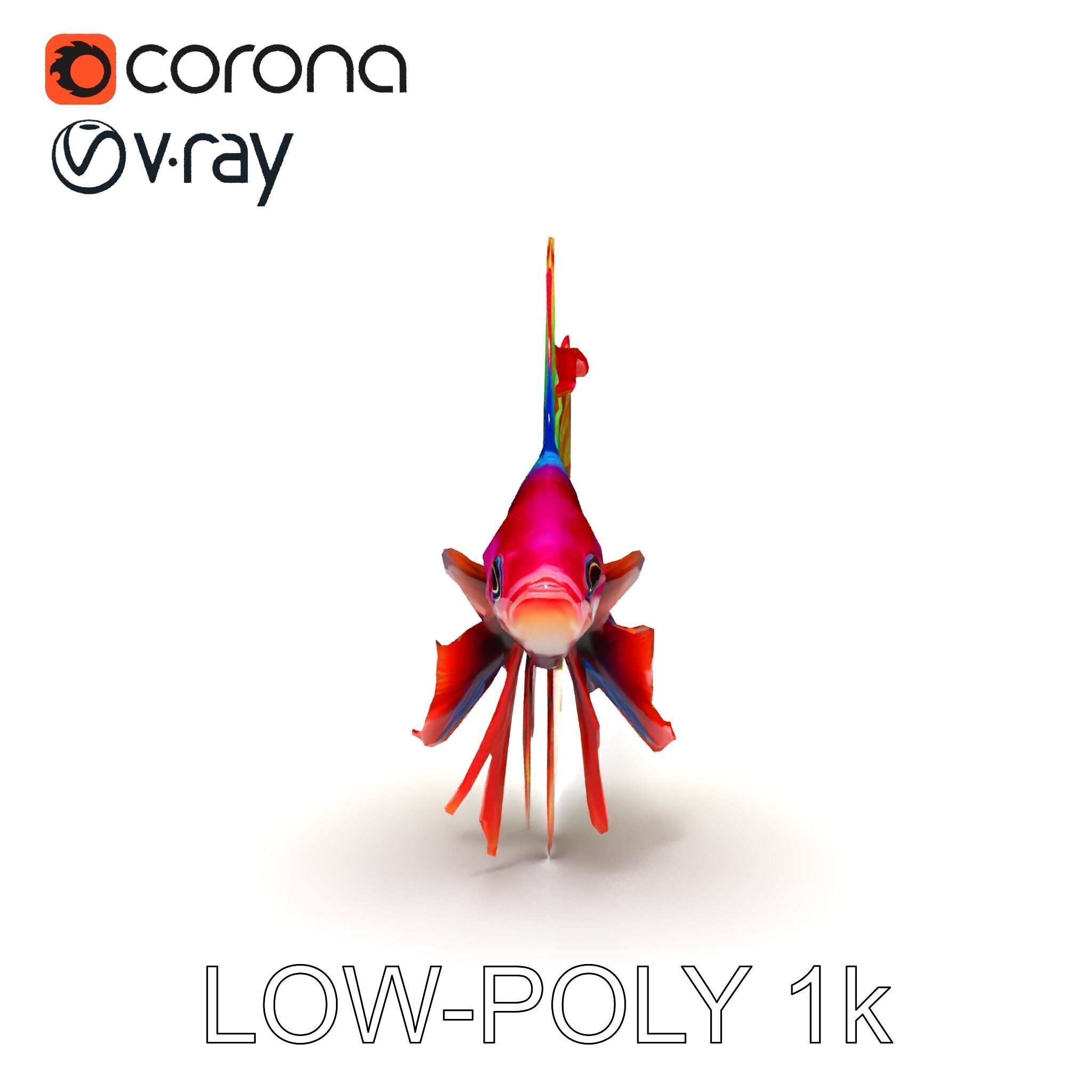 Vibrant Betta Fish Model Pack Low-poly 3D model_11