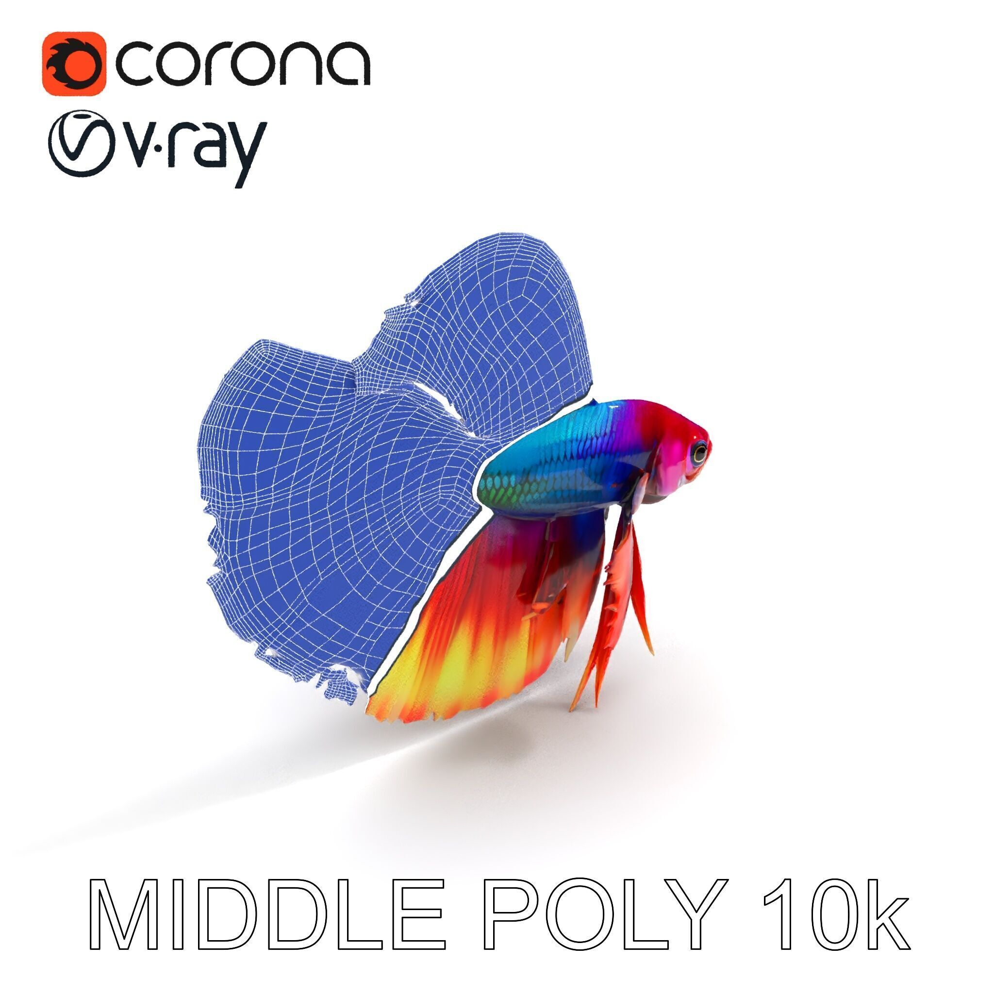 Vibrant Betta Fish Model Pack Low-poly 3D model_15