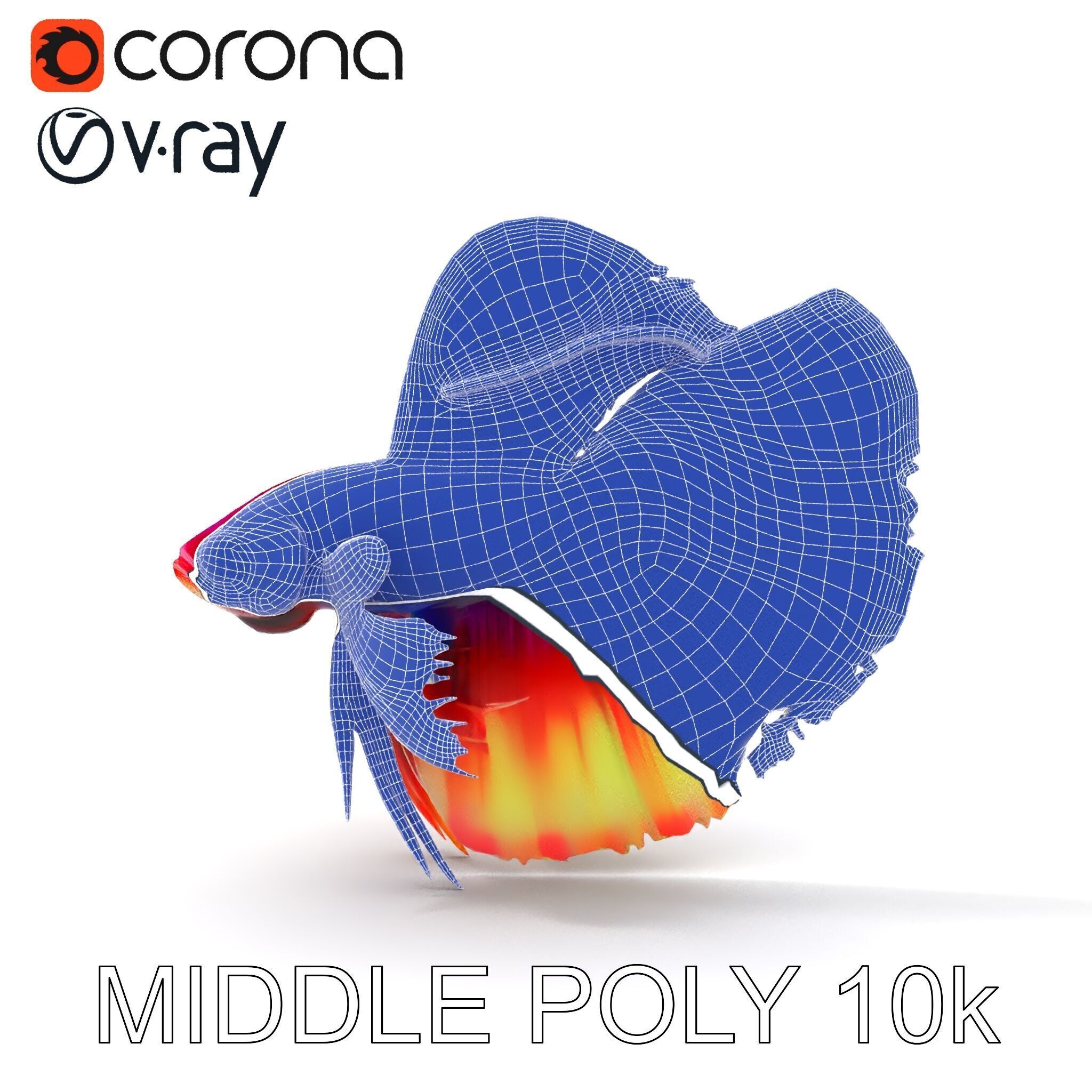Vibrant Betta Fish Model Pack Low-poly 3D model_13